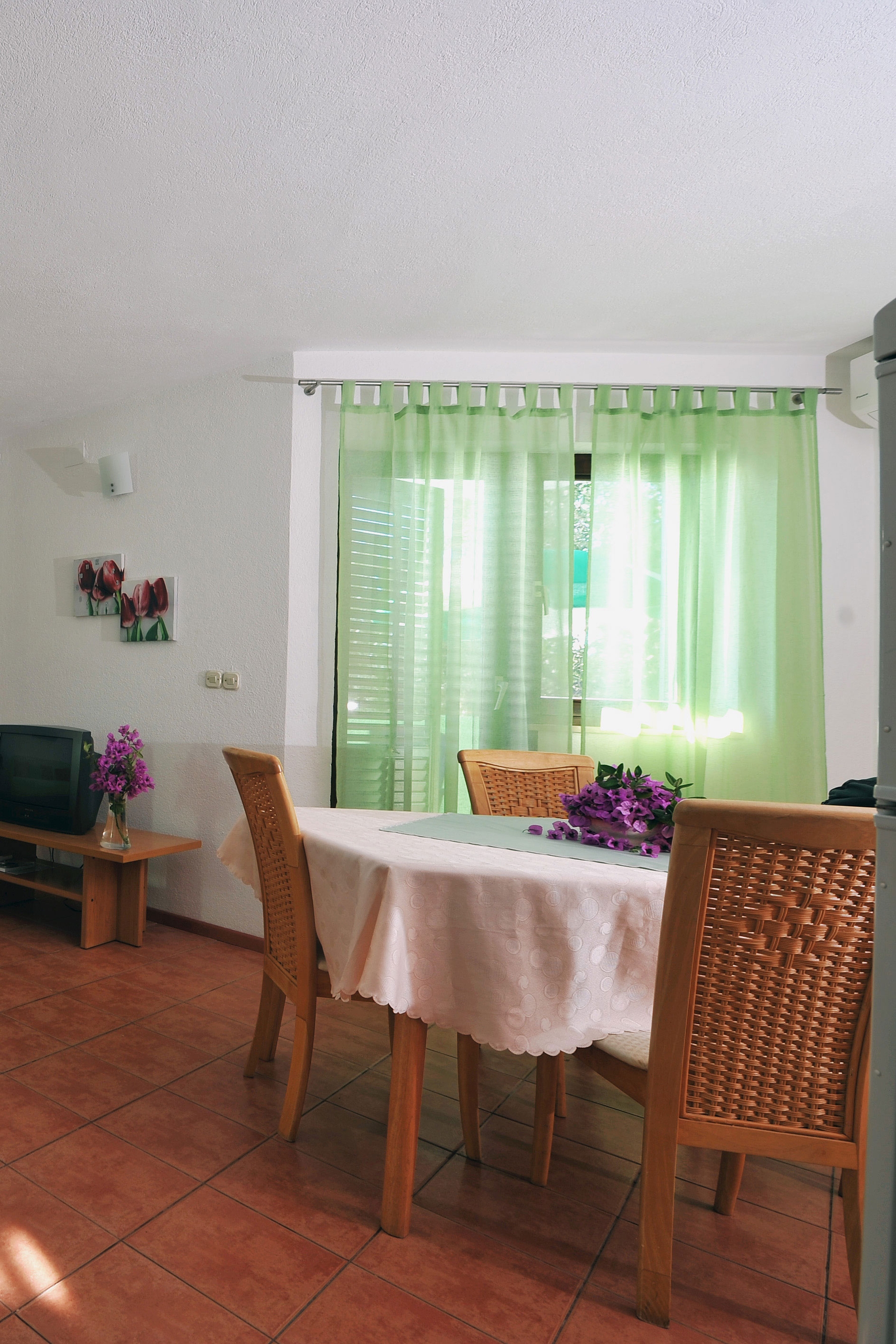 Top Rogoznica Zatoglav Top Rogoznica Zatoglav