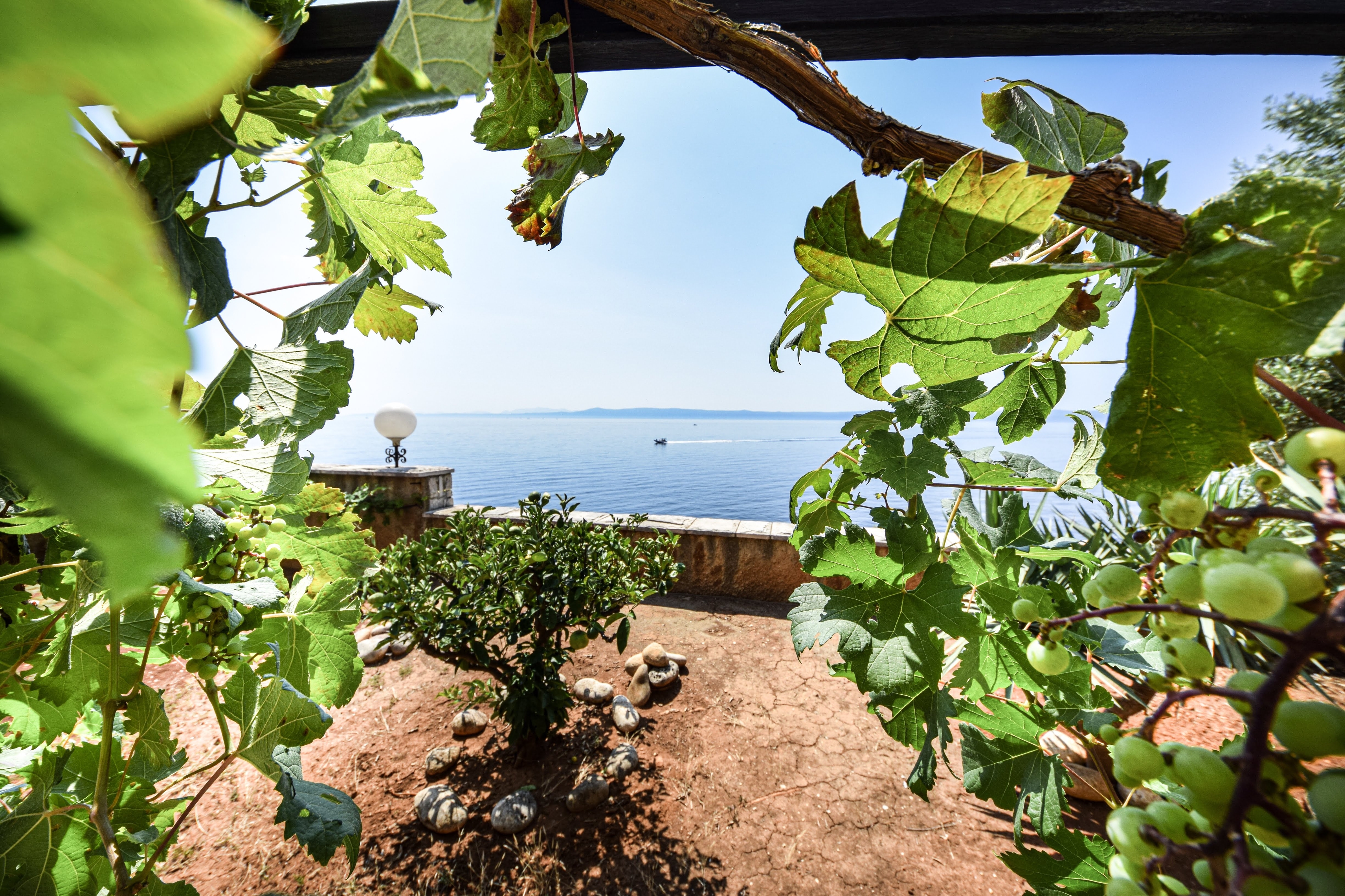 One bedroom apartment near beach Puntinak, Brač (A-12255-b)