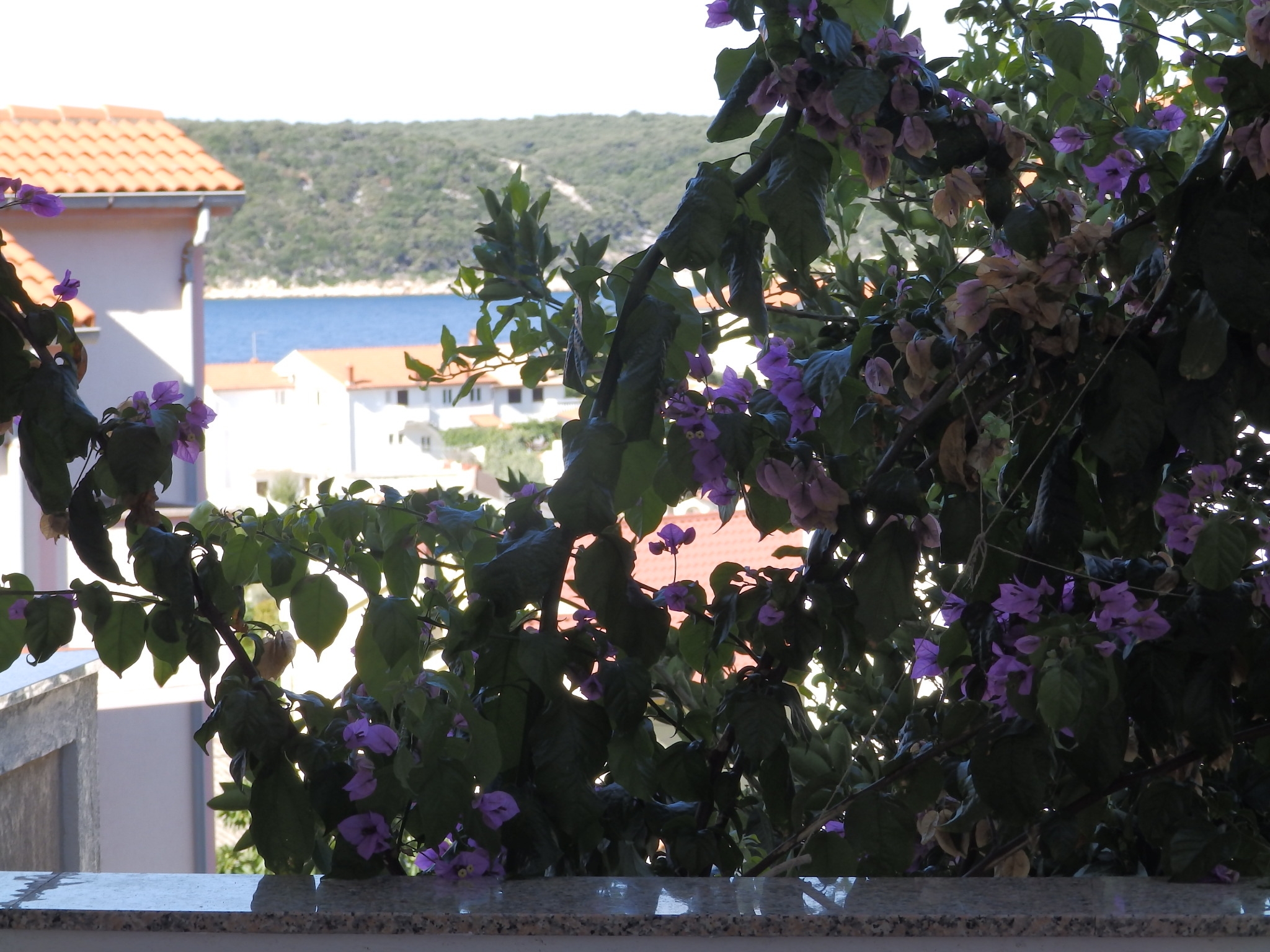 Two bedroom apartment with terrace and sea view Kampor, Rab  A-a
