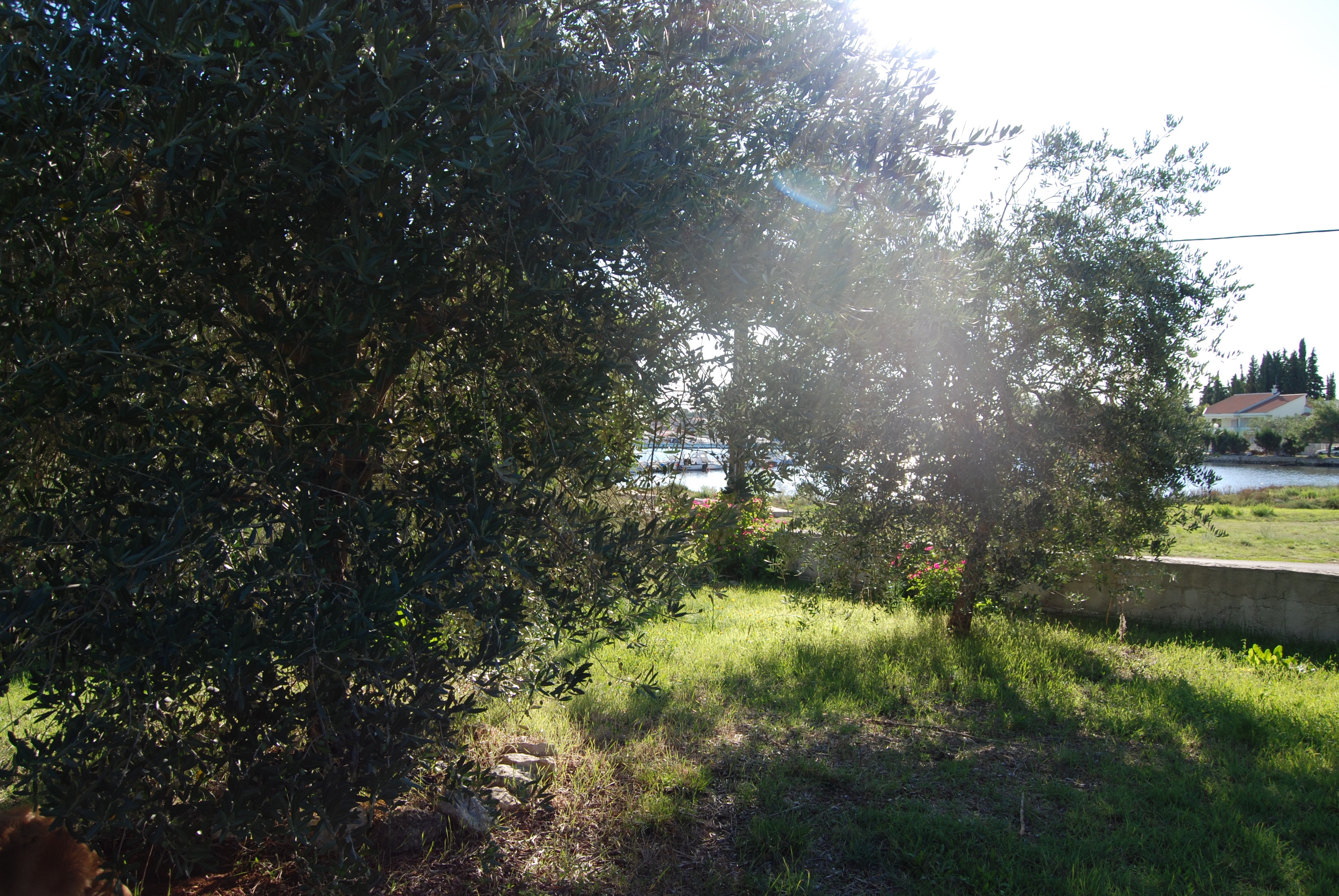 Three bedroom house with terrace and sea view Lukoran, Ugljan  K