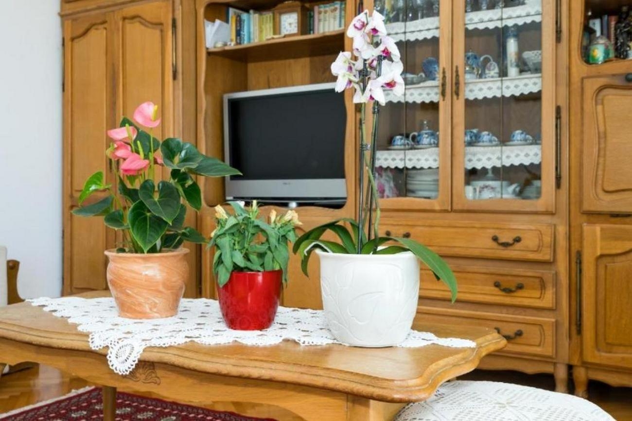 Top Omiš Sumpetar Top Omiš Sumpetar