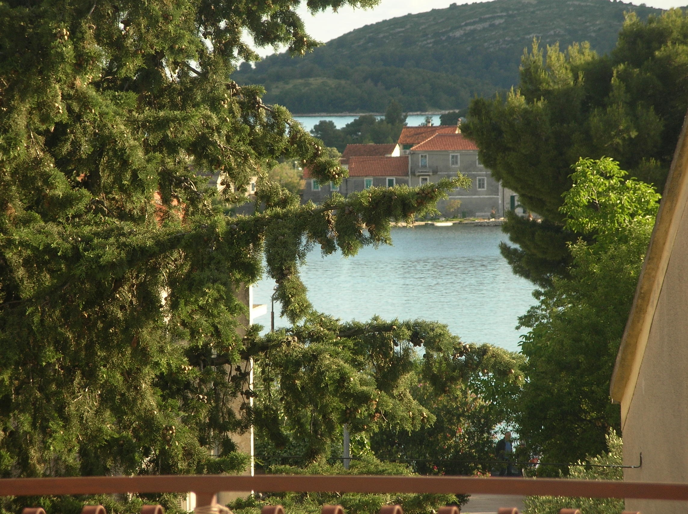 Studio flat with terrace and sea view Brodarica, Šibenik  AS-c