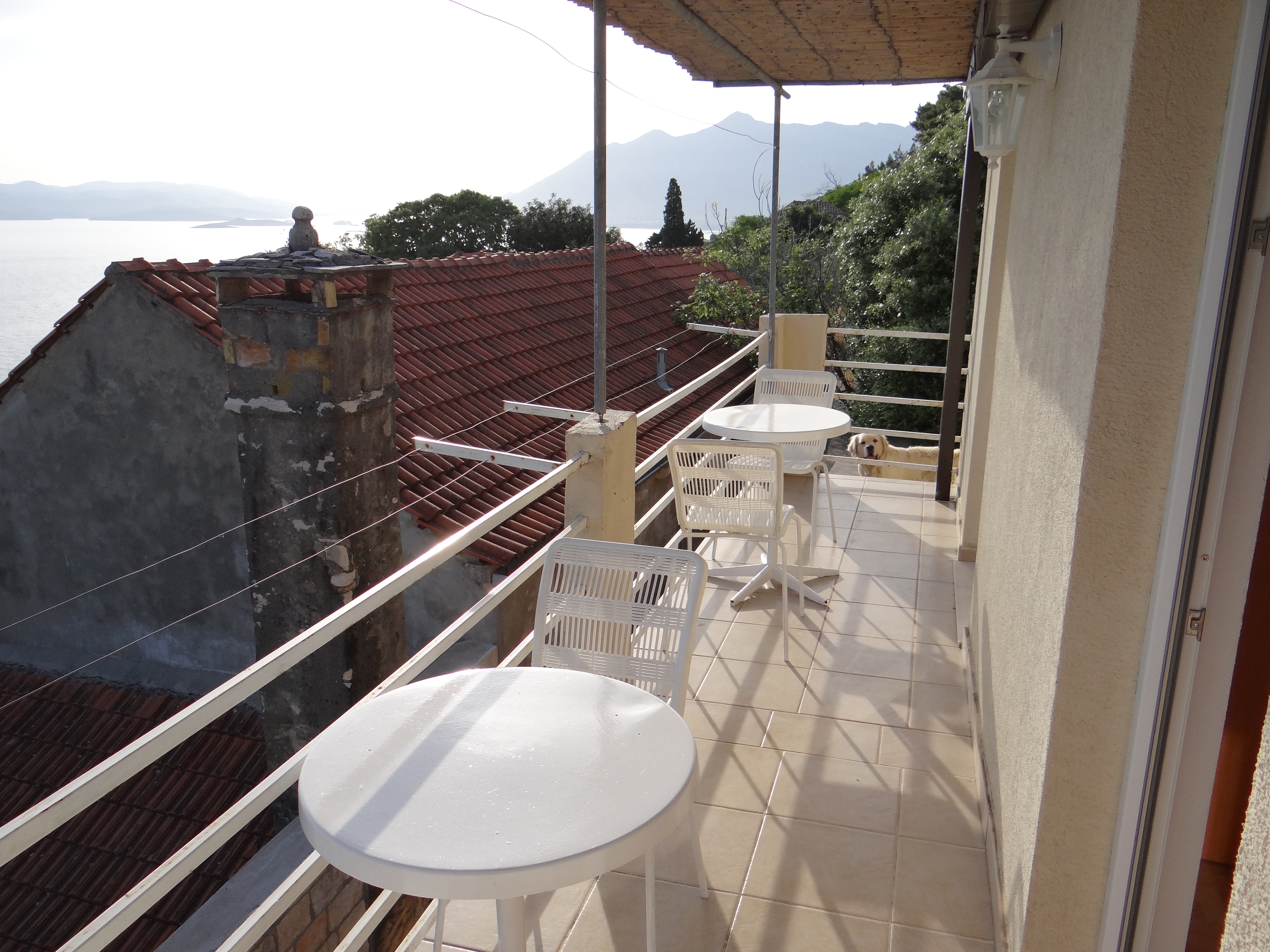 Top Pelješac Borje Top Pelješac Borje