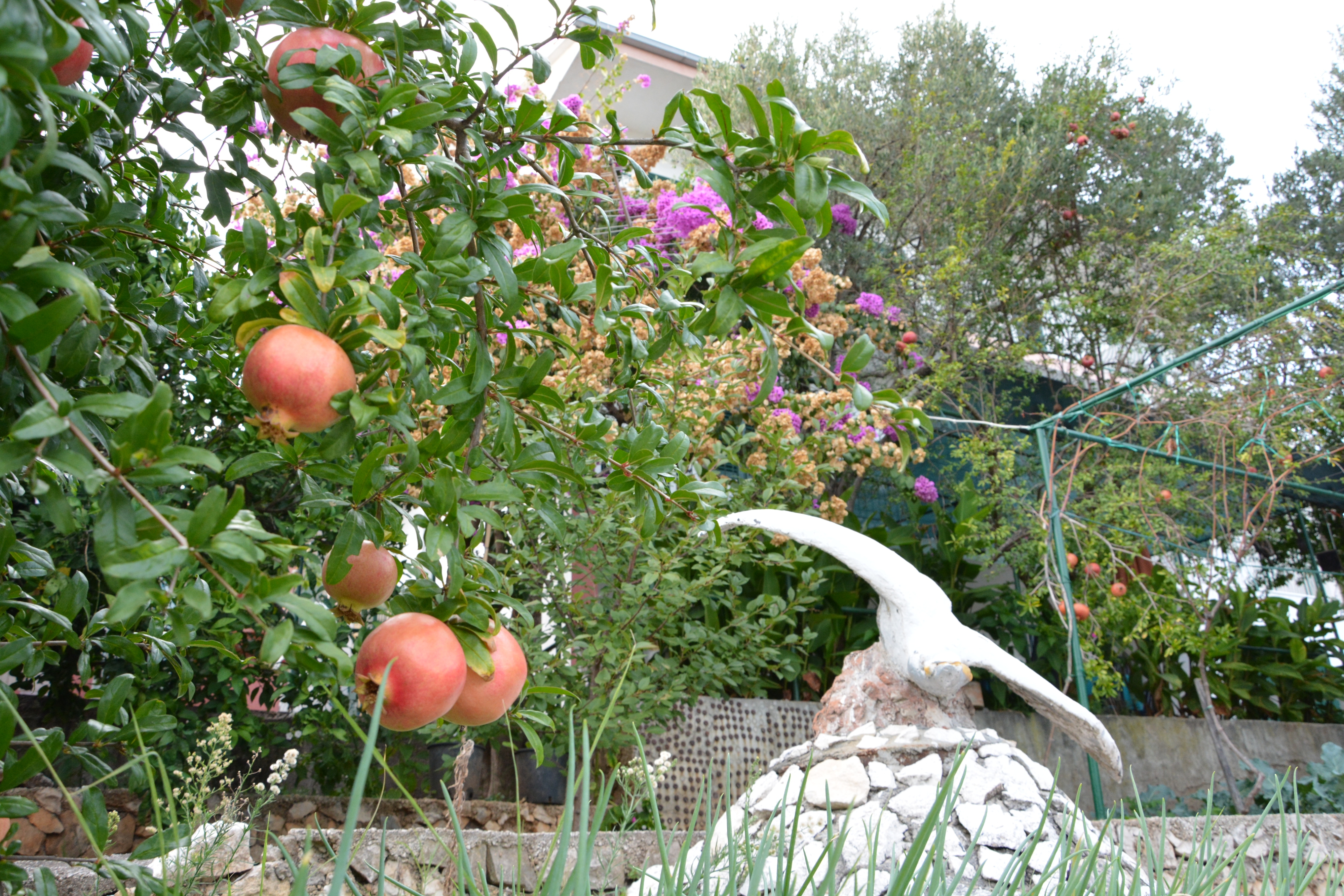 Top Trogir Poljica Top Trogir Poljica