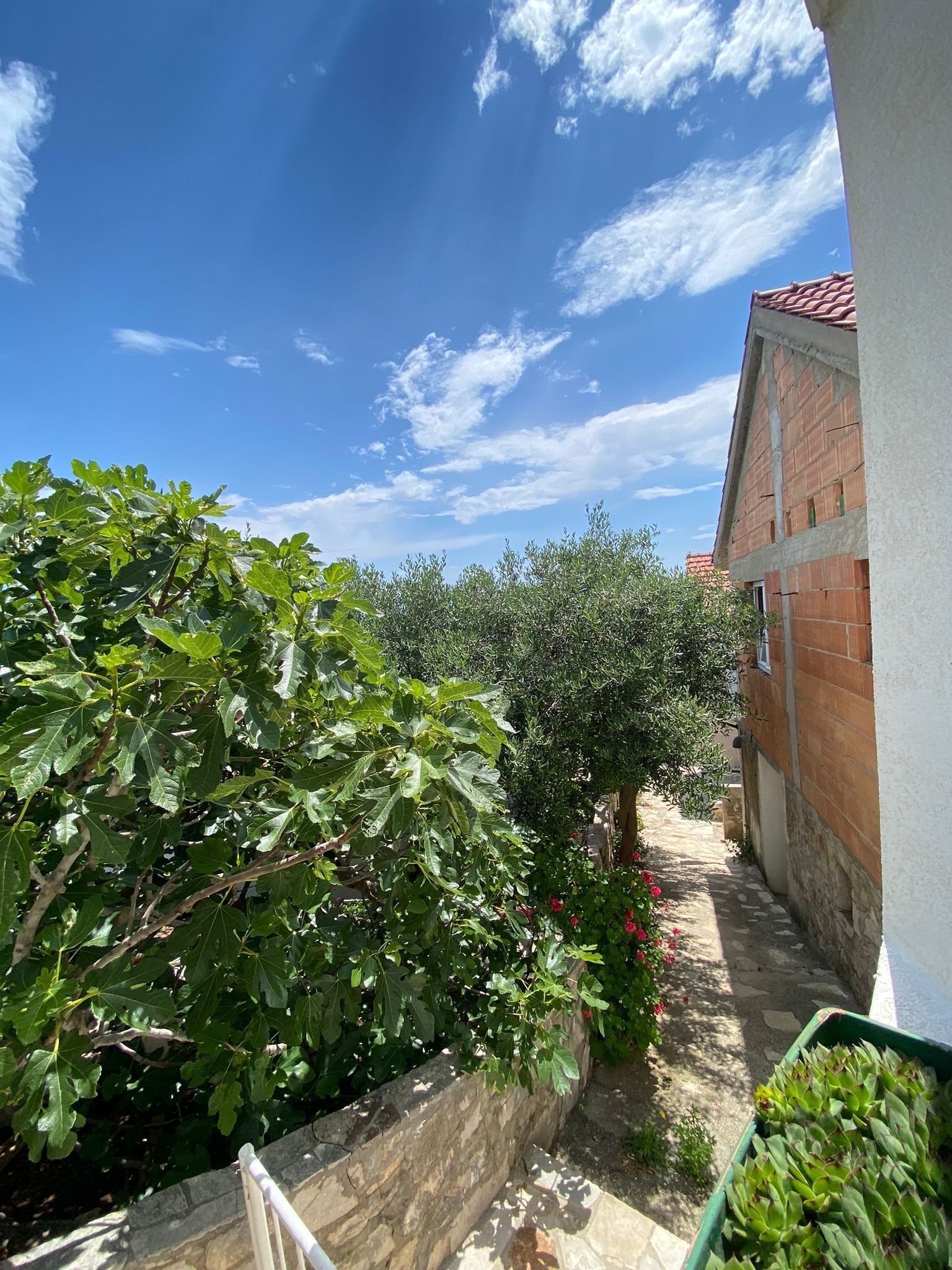 Top Hvar Tvrdni Dolac Top Hvar Tvrdni Dolac