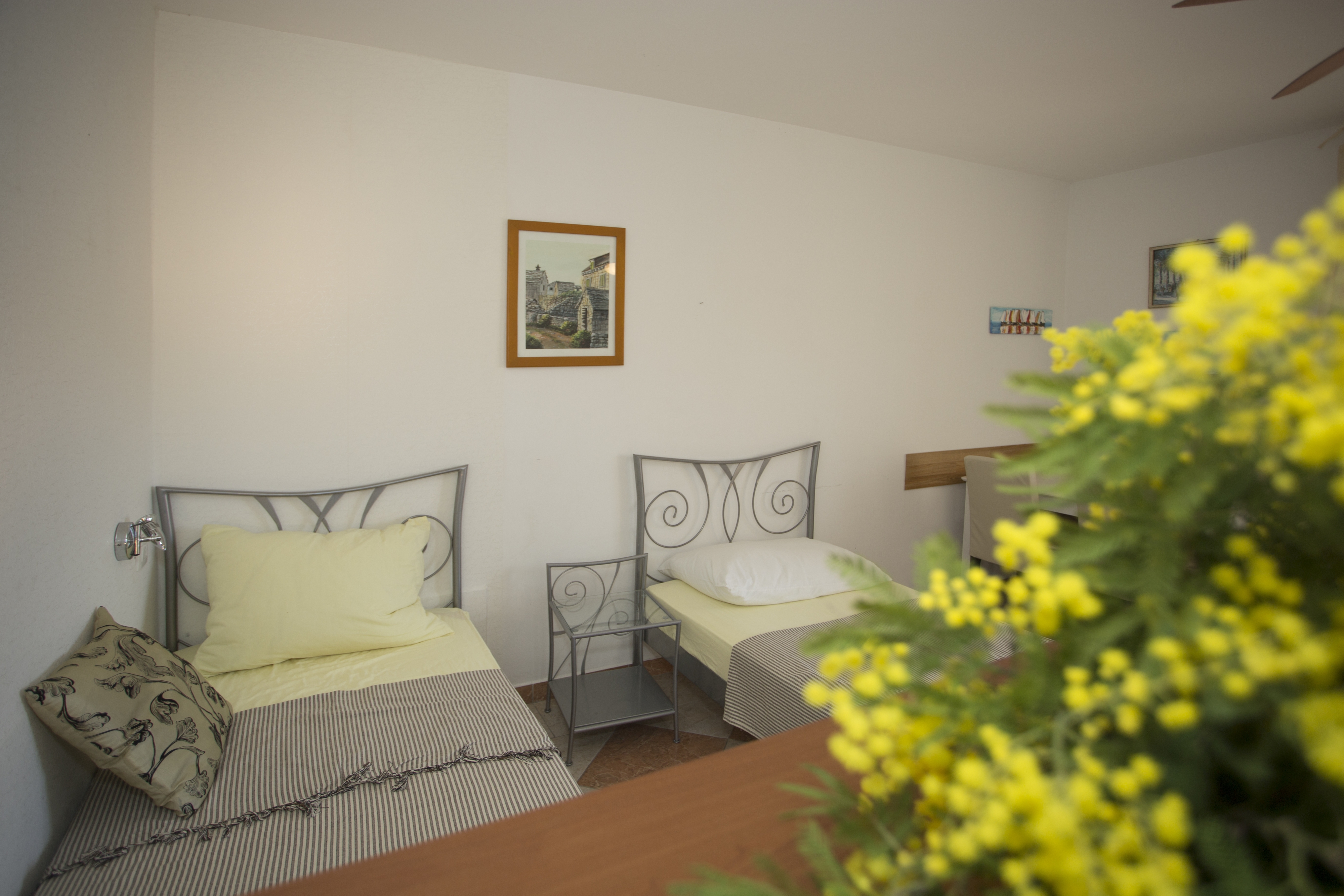 Top Čiovo Mavarštica Top Čiovo Mavarštica