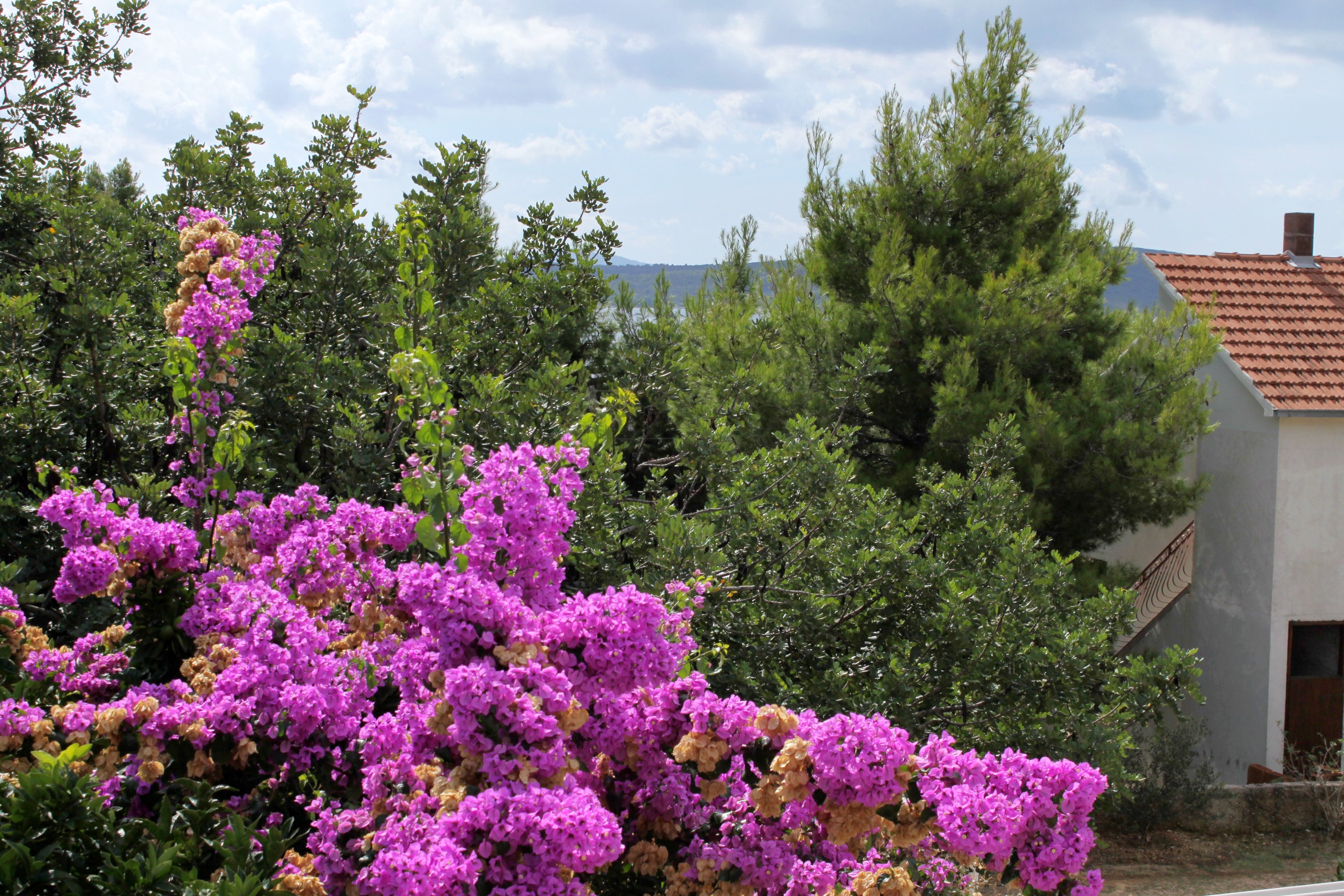 Top Hvar Zavala Top Hvar Zavala