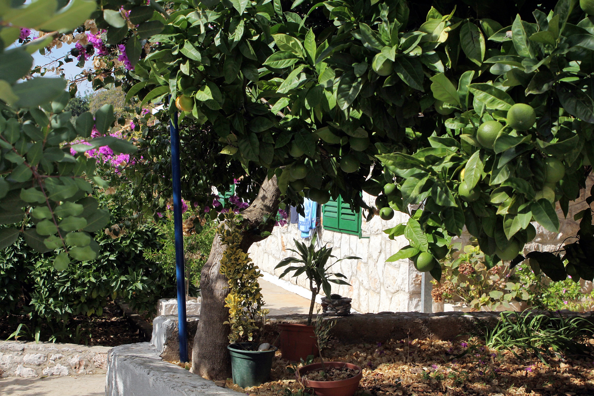 One bedroom apartment with terrace and sea view Zavala, Hvar (A-128-c) One bedroom apartment with terrace and sea view Zavala, Hvar (A-128-c)