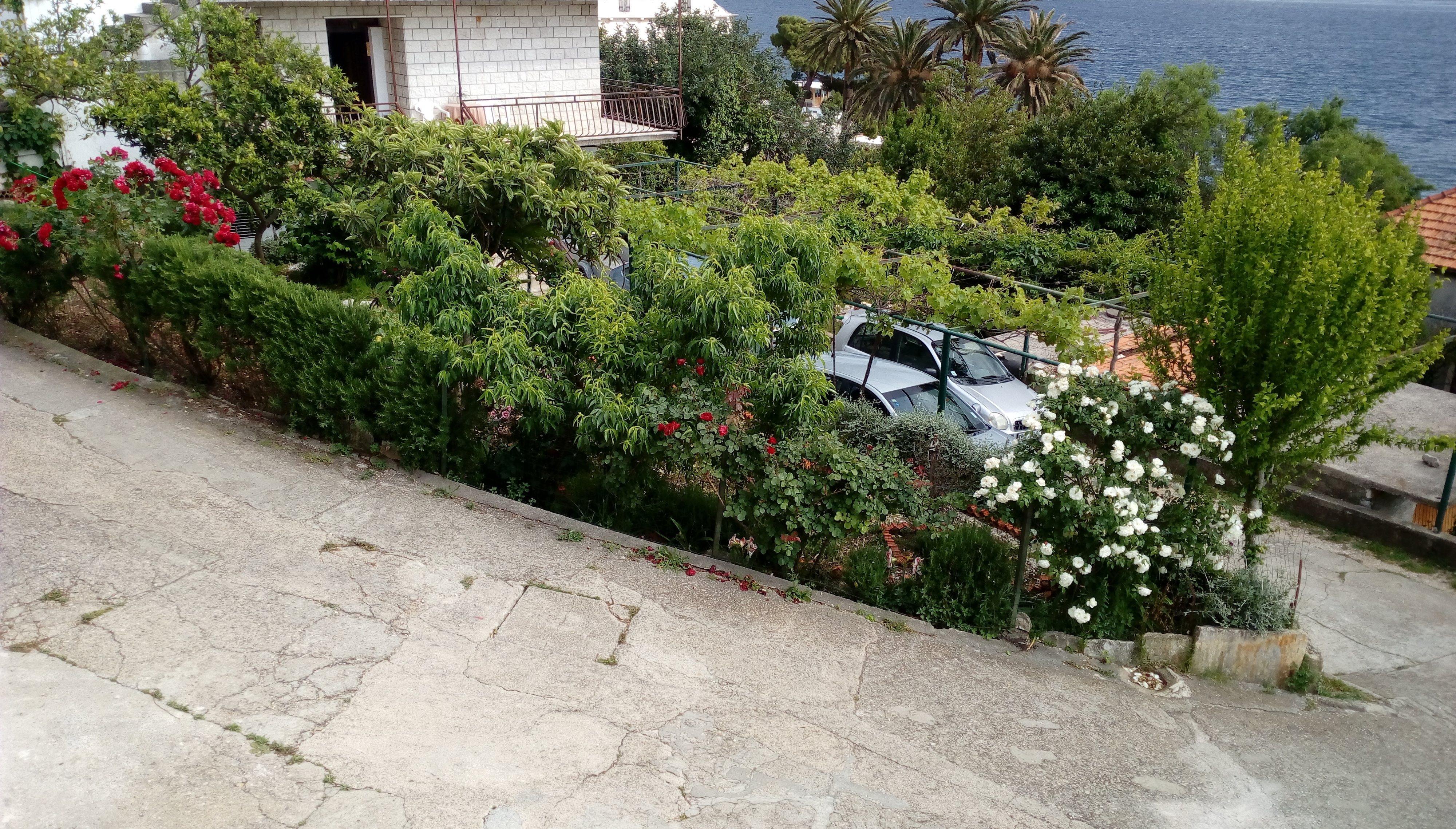 Studio apartman uz plažu Kučište, Pelješac  AS-a