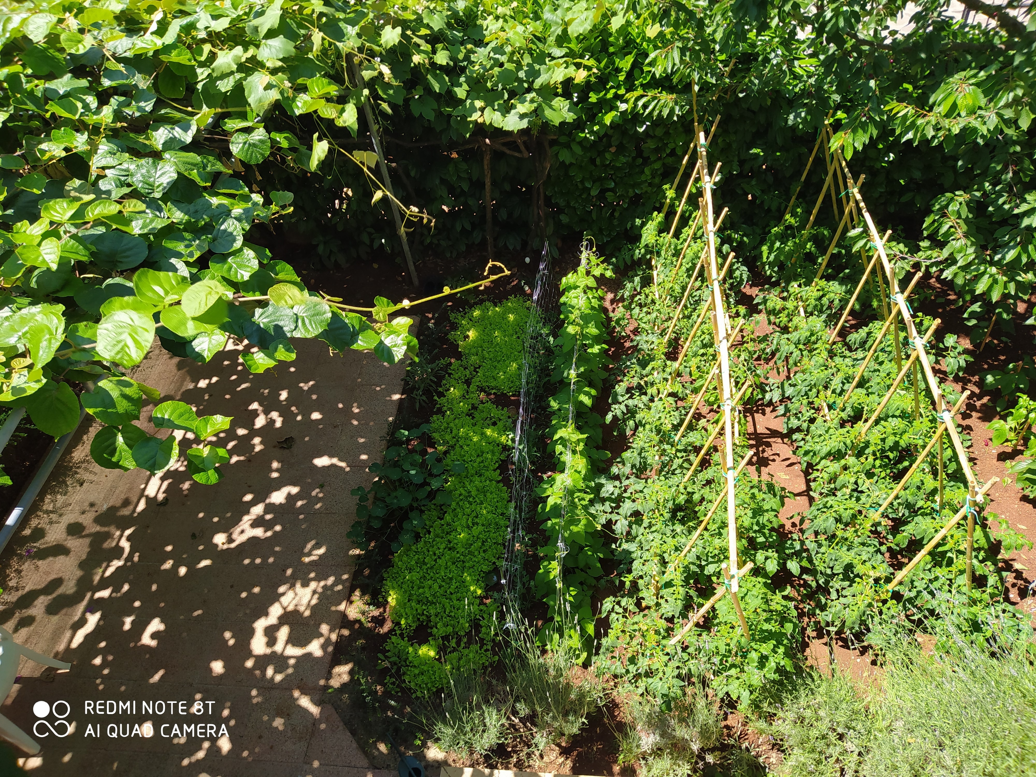 Top Fažana Top Fažana