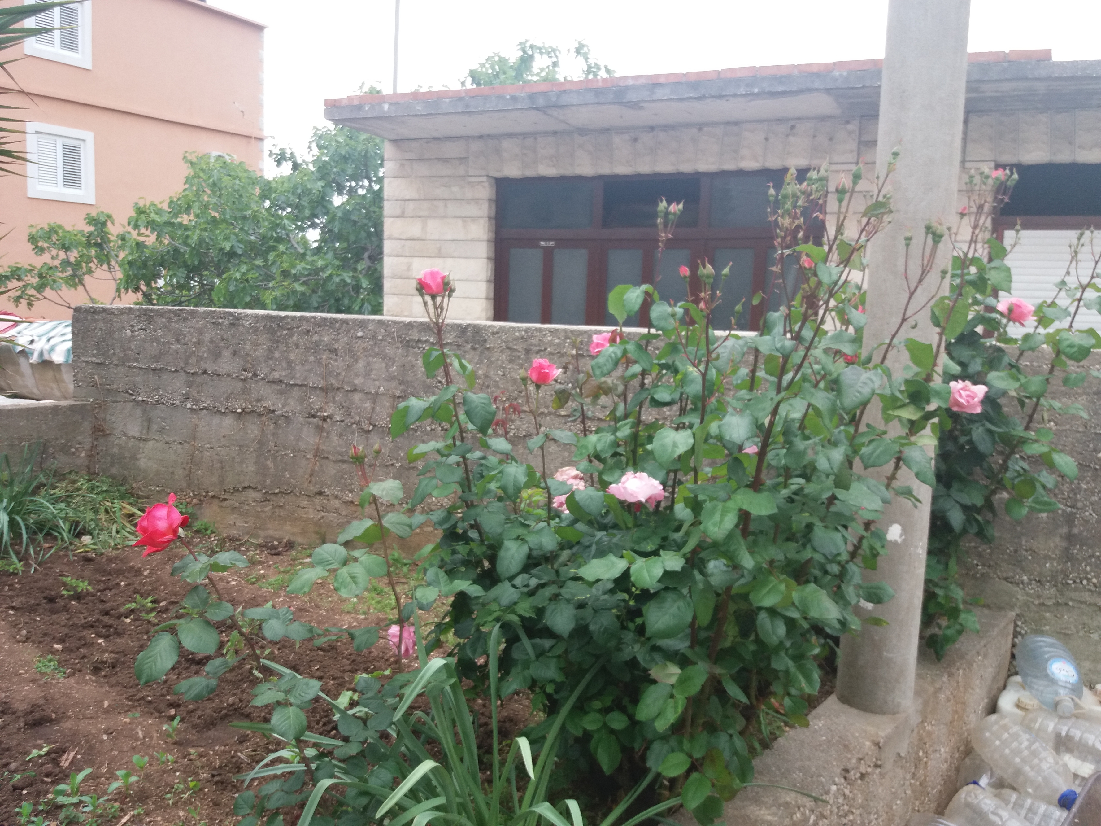 Top Hvar Sućuraj Top Hvar Sućuraj