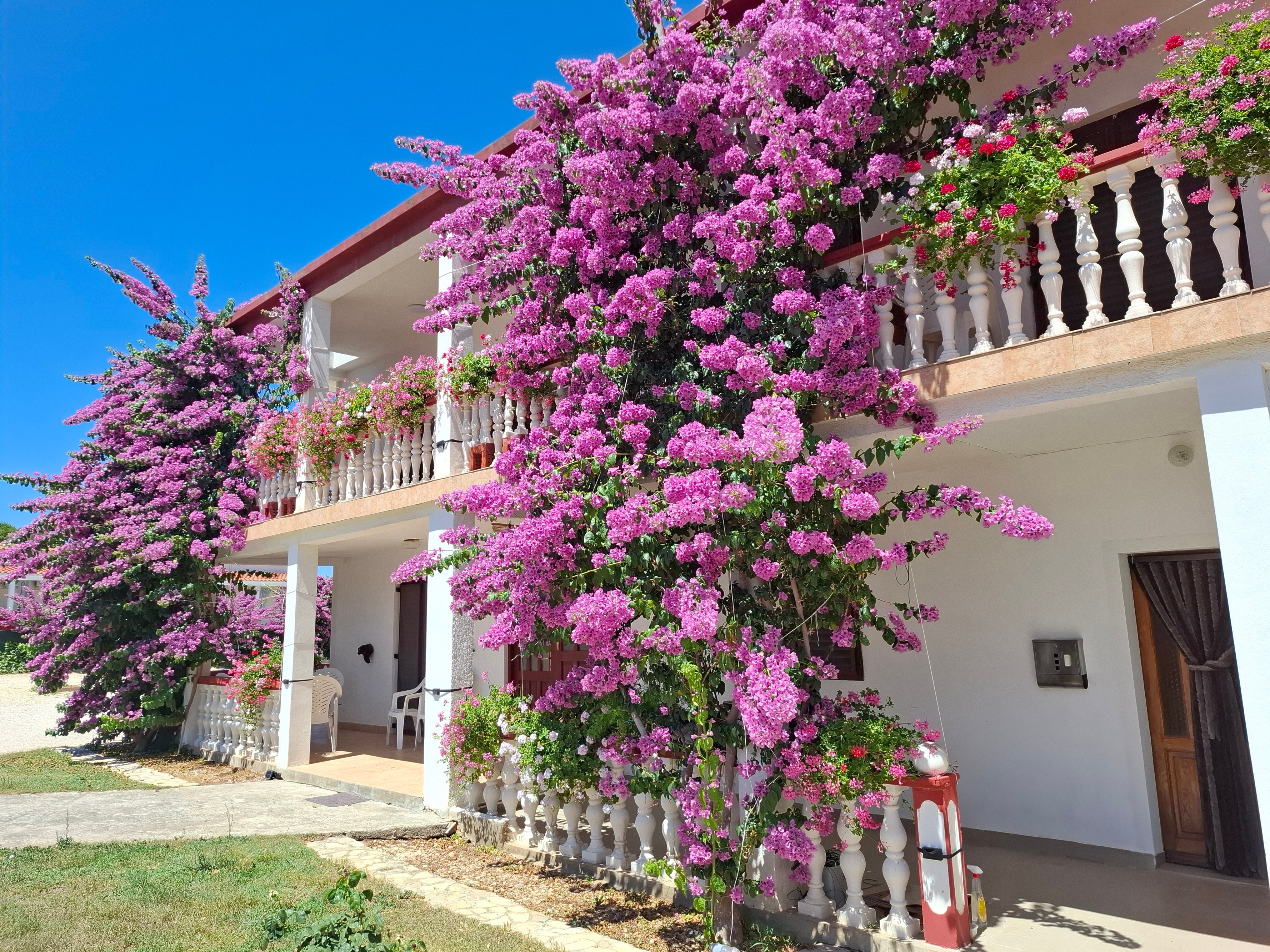 Top Zadar Privlaka Top Zadar Privlaka