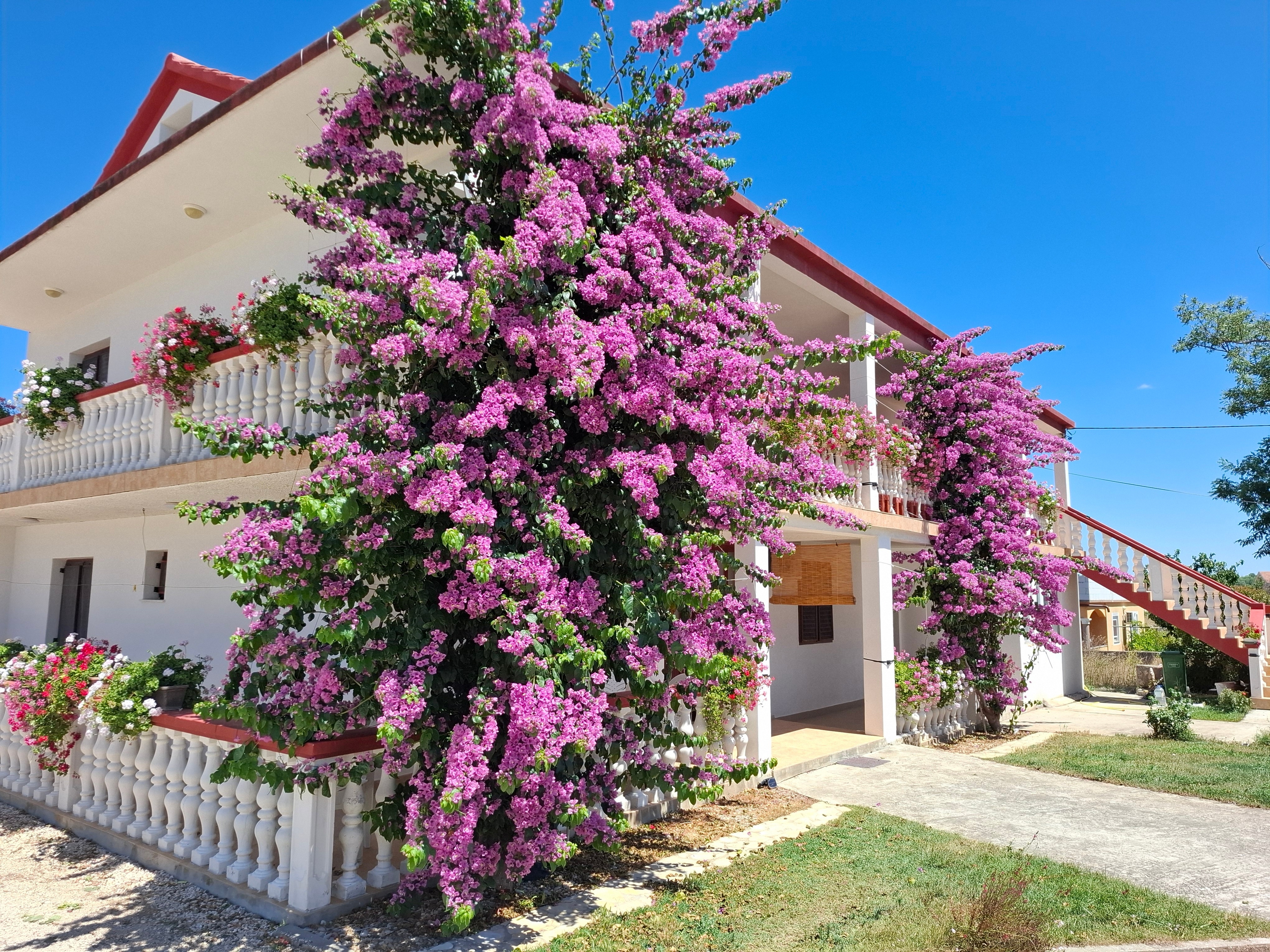 Top Zadar Privlaka Top Zadar Privlaka