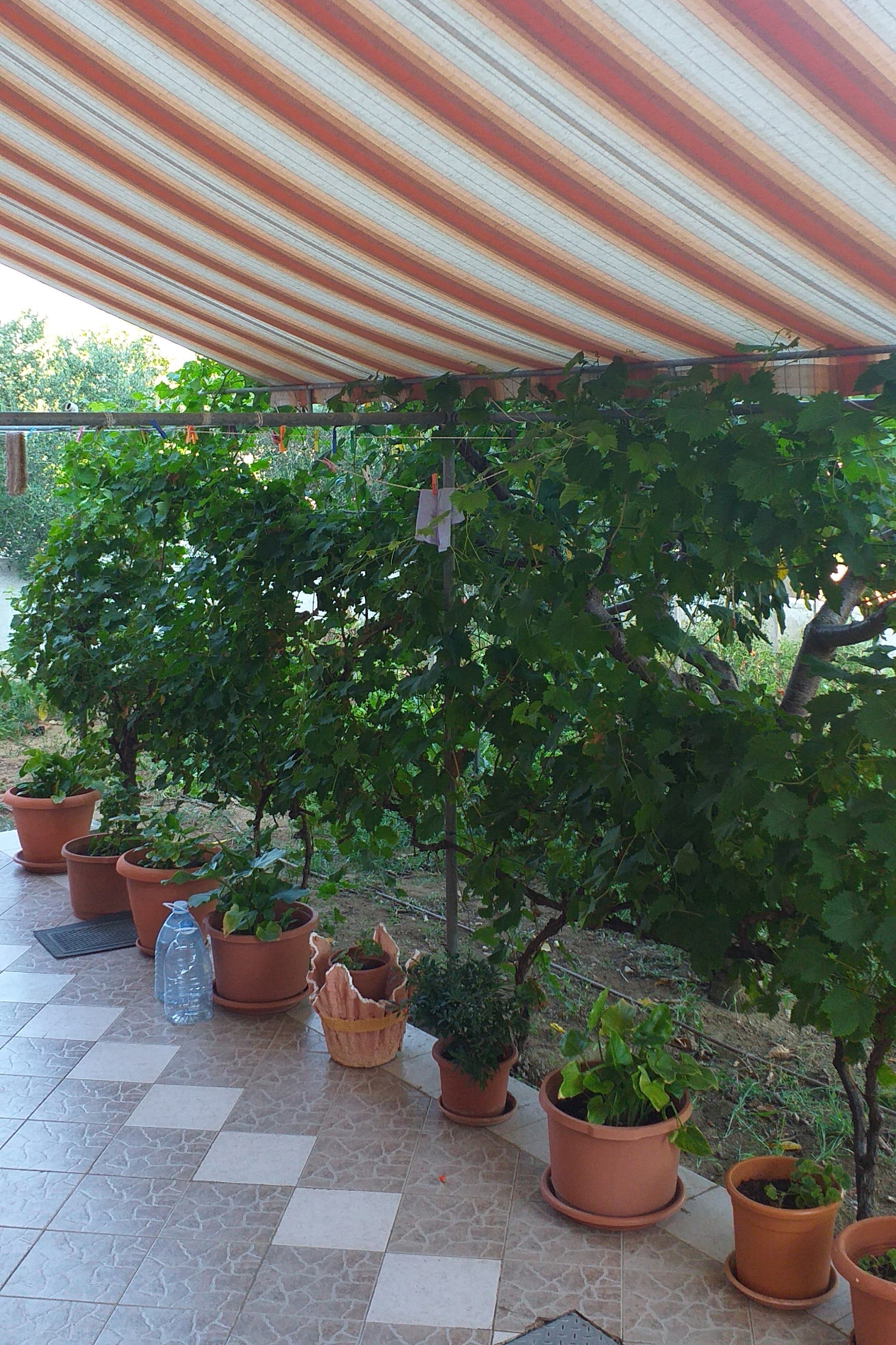 Top Zadar Privlaka Top Zadar Privlaka