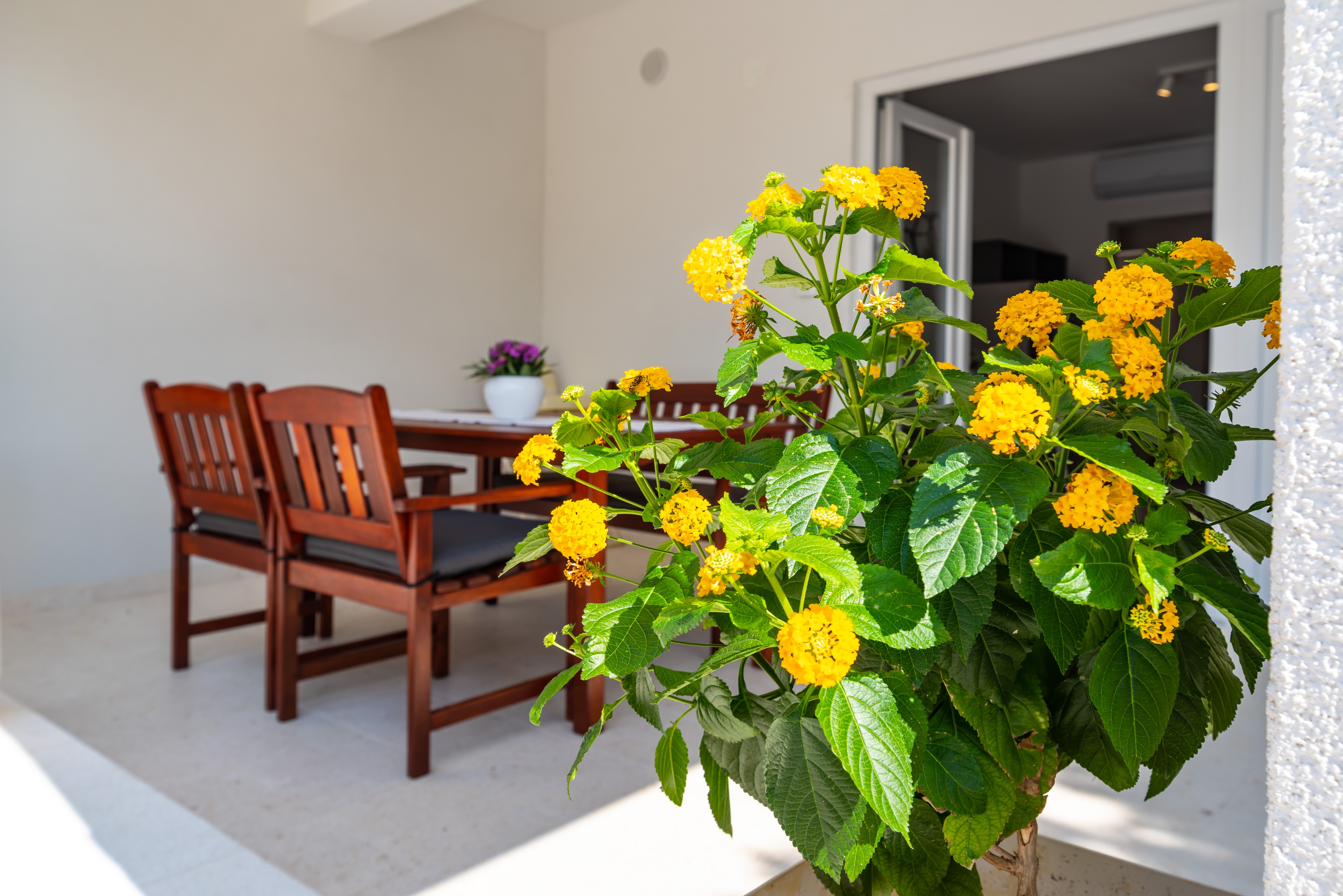 Two bedroom apartment with terrace Mandre, Pag  A-a