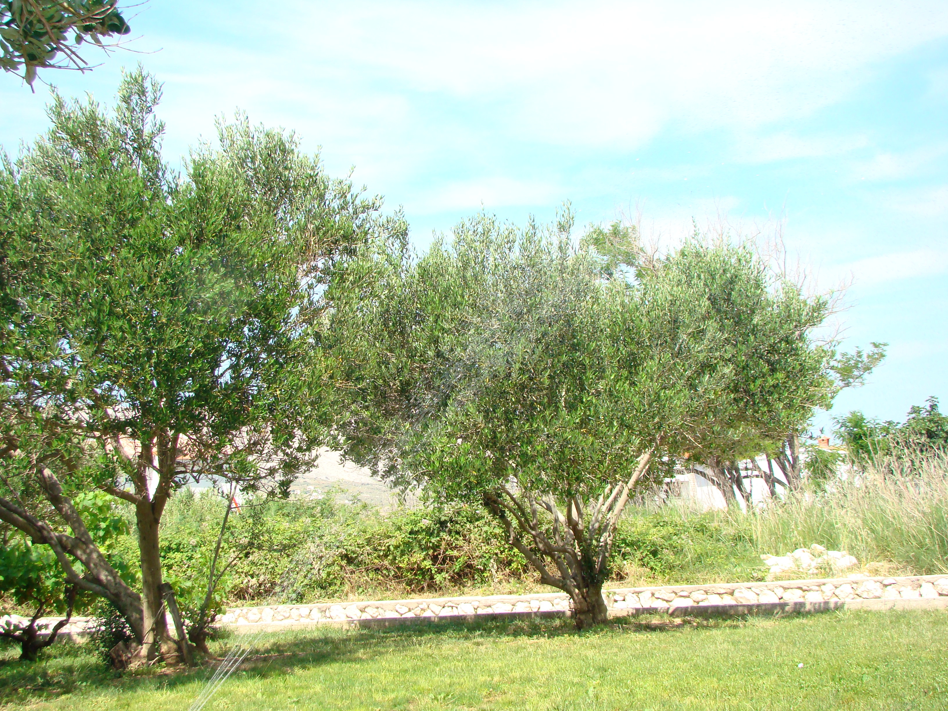 Room with balcony and sea view Pag  S-a