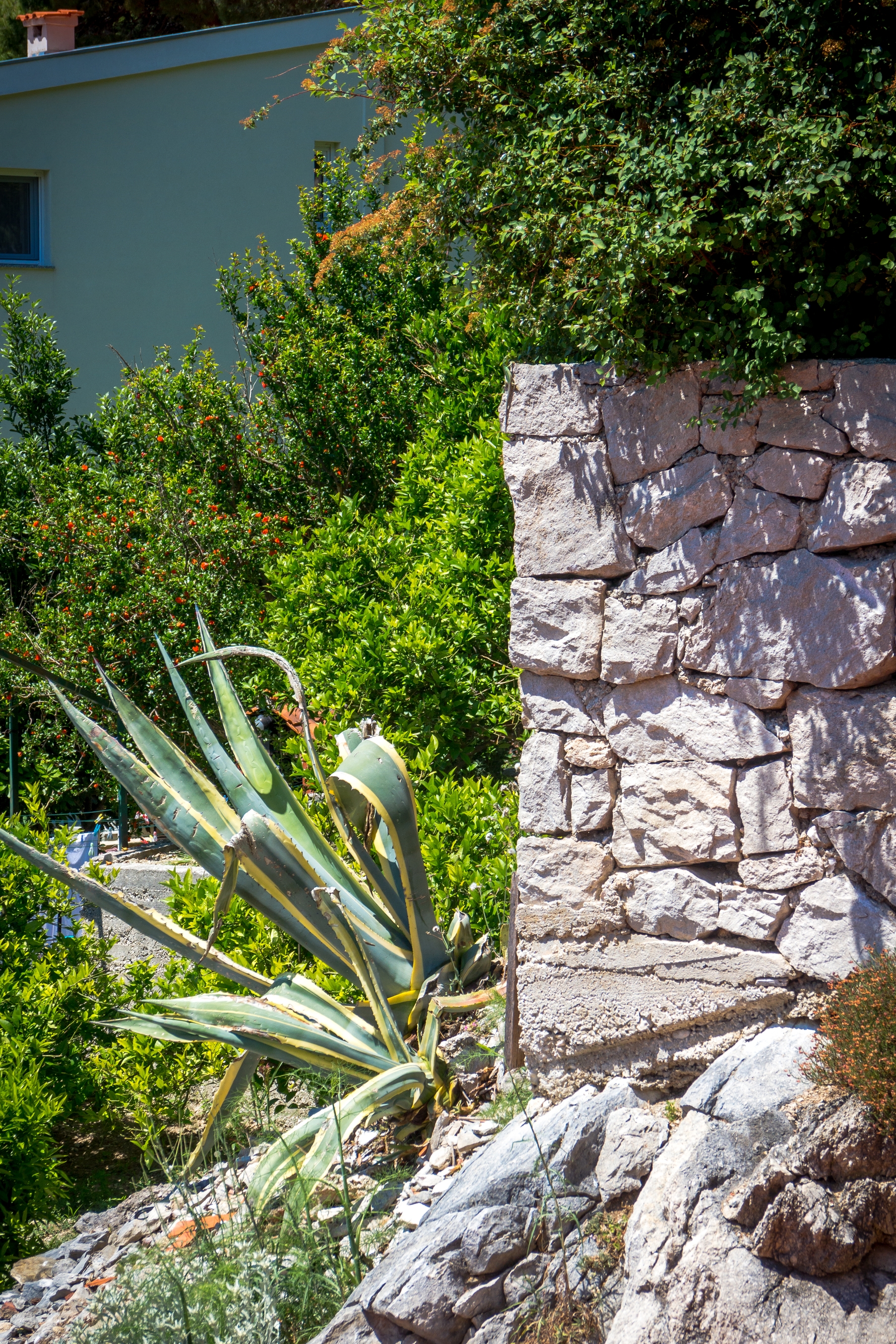 Top Makarska Brela Top Makarska Brela