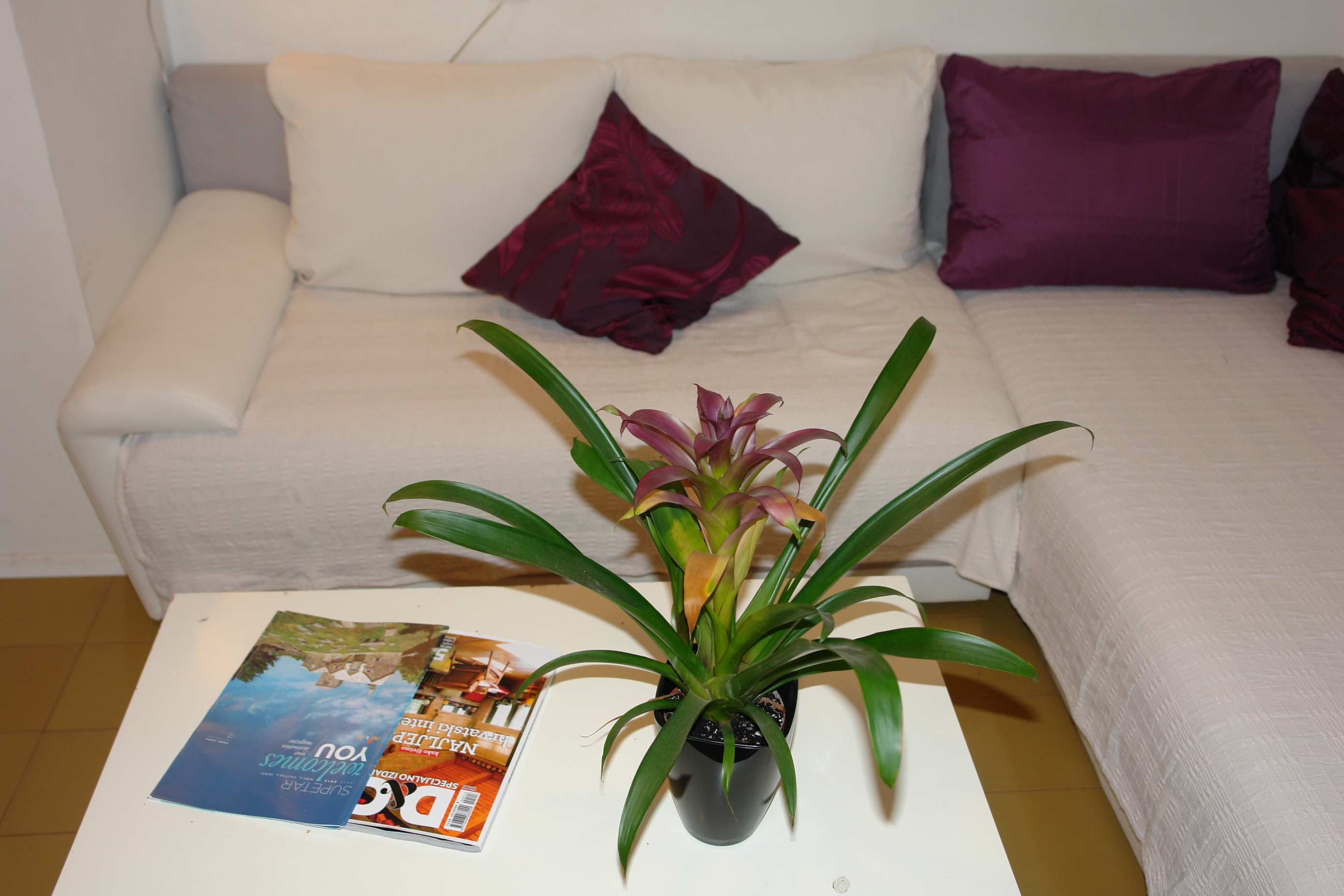 Top Brač Supetar Top Brač Supetar