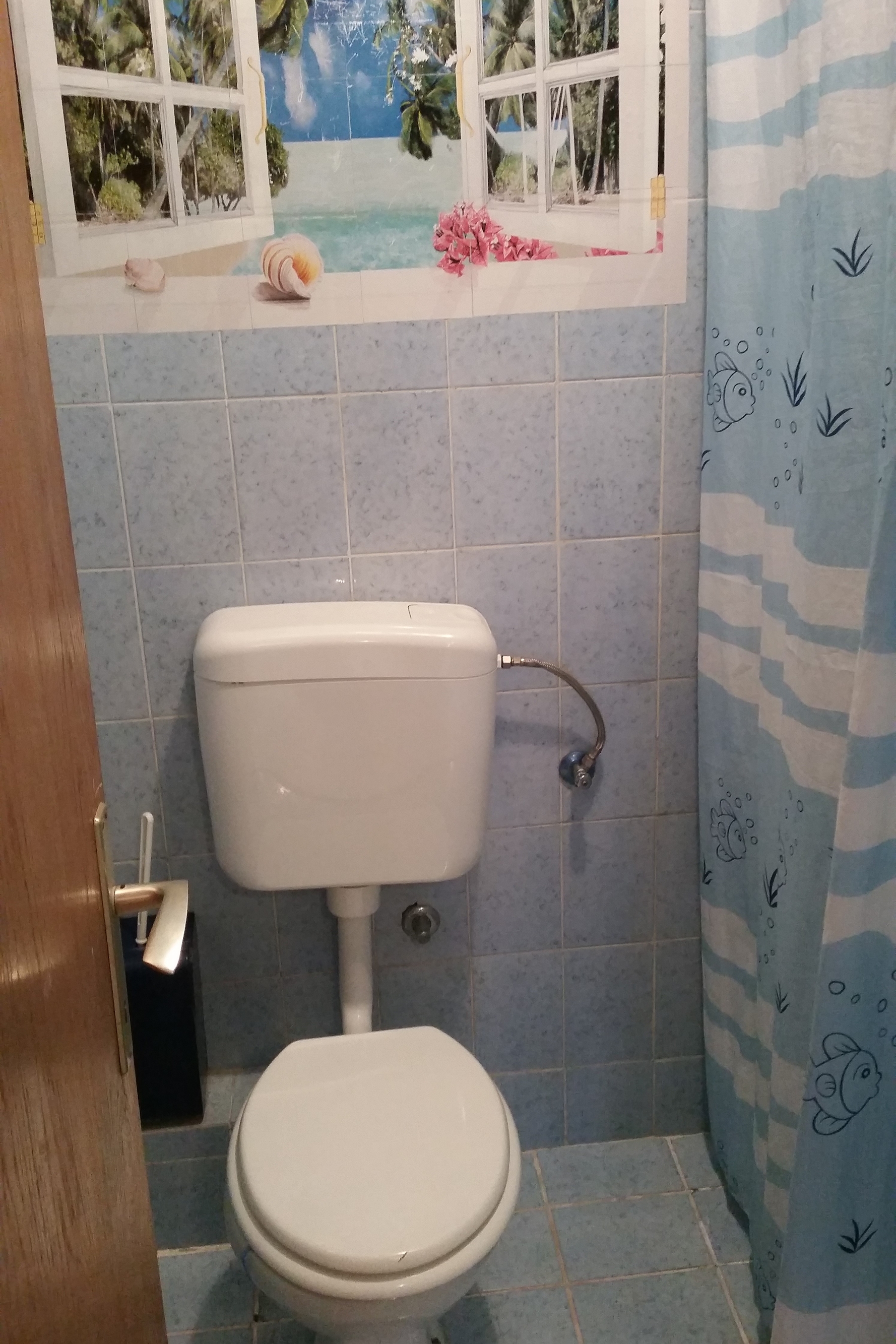 Top Pag Novalja Top Pag Novalja