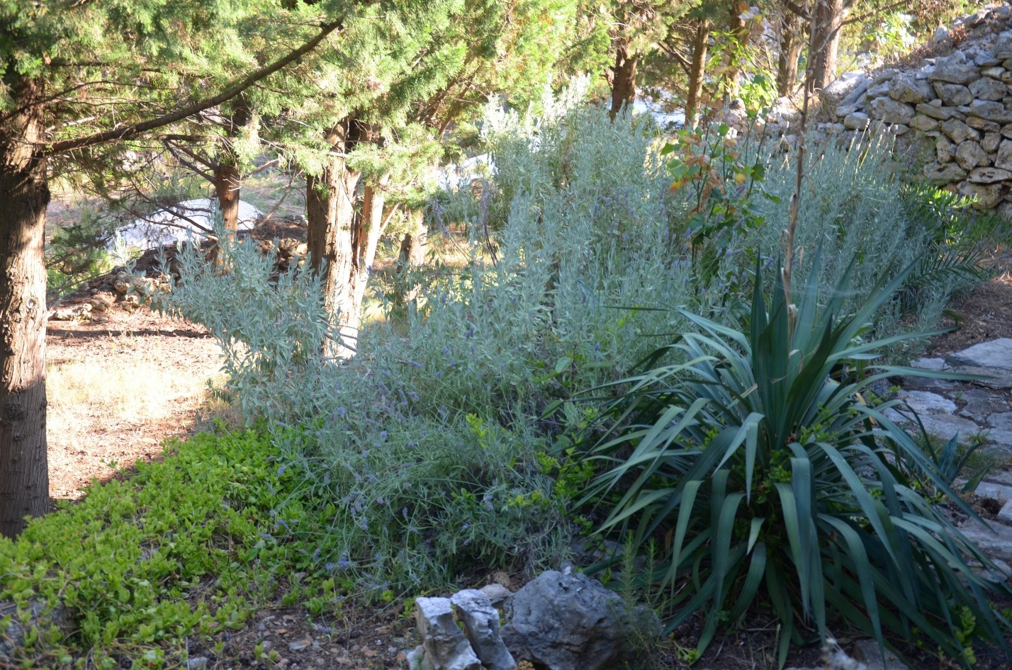 One bedroom house with terrace Cove Vela Lozna, Brač  K