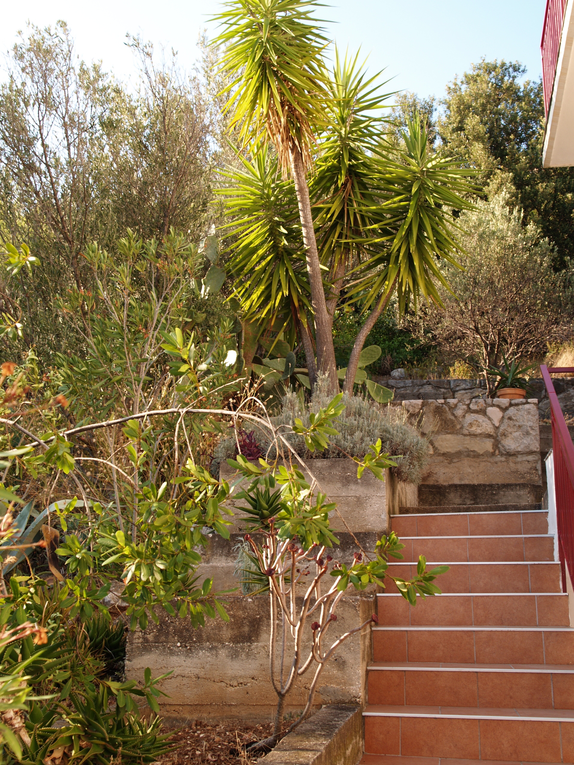 Top Korčula Brna - Vinačac Top Korčula Brna - Vinačac