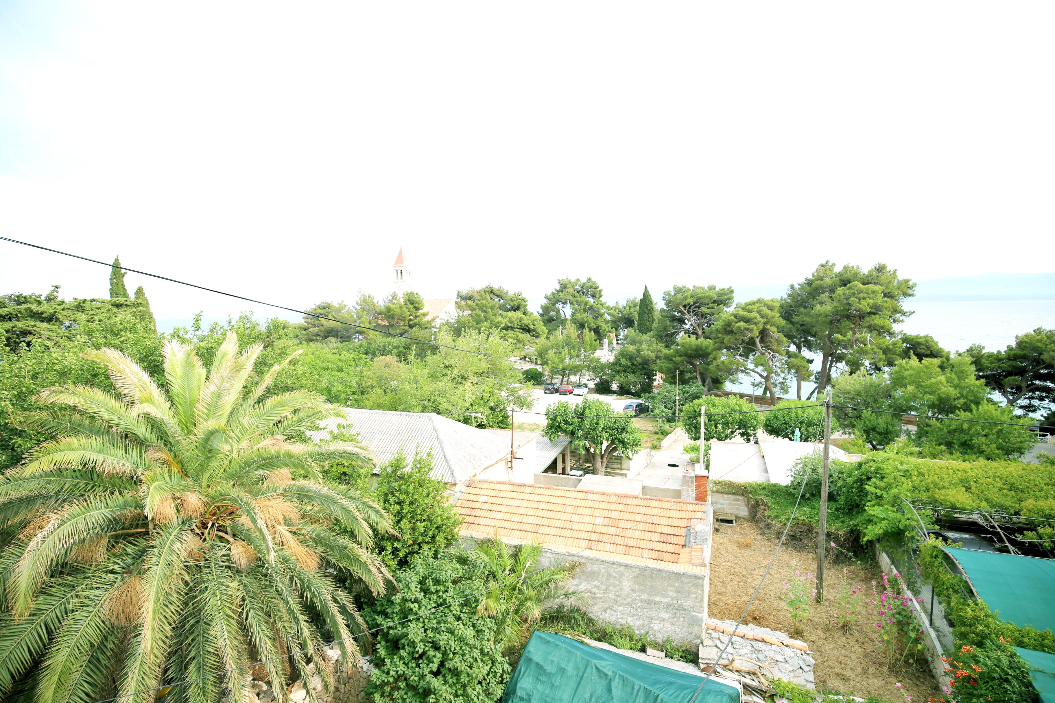 Top Brač Bol Top Brač Bol