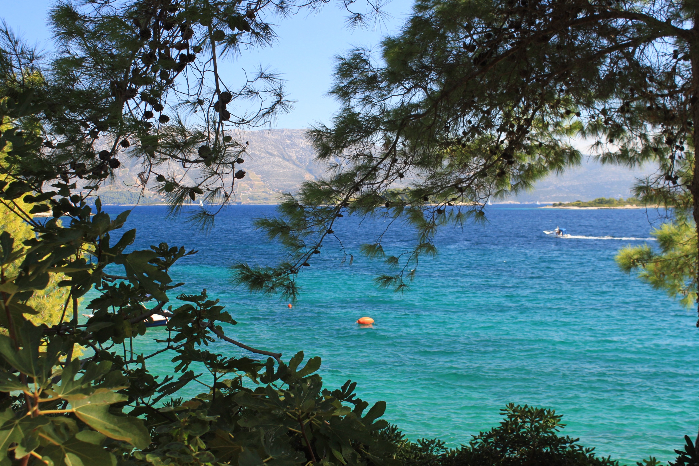 Two bedroom apartment near beach Lumbarda, Korčula  A-b