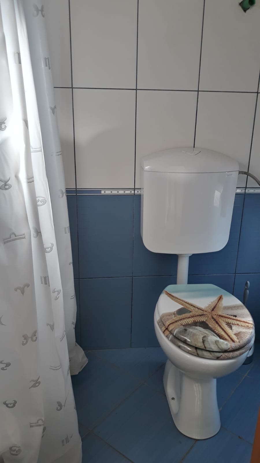 Top Hvar Borova Top Hvar Borova