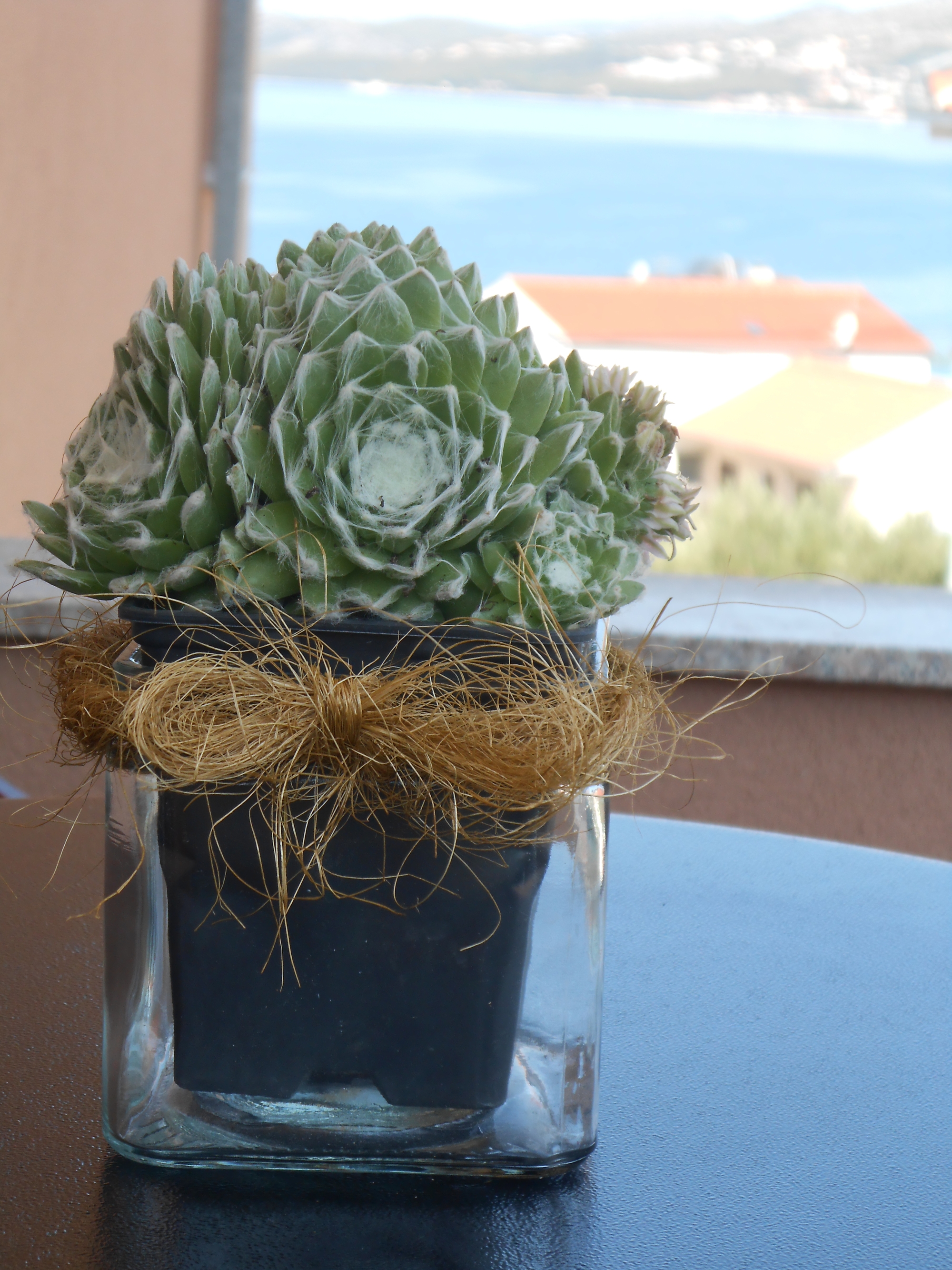 Top Čiovo Okrug Gornji Top Čiovo Okrug Gornji