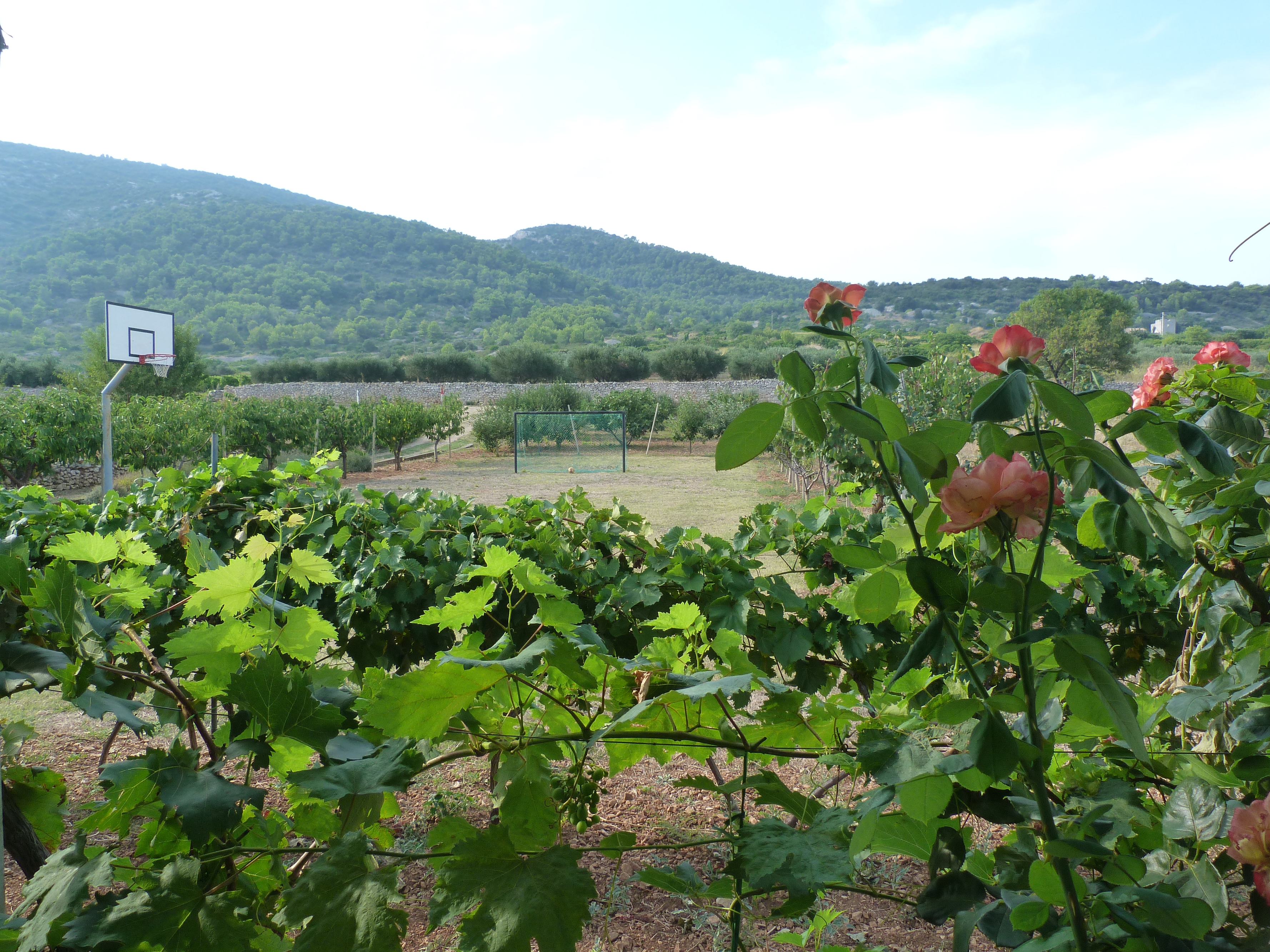 Top Vis Podhumlje Top Vis Podhumlje