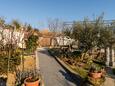 Lopar, Rab, Courtyard 14070 - Apartments with rocky beach.