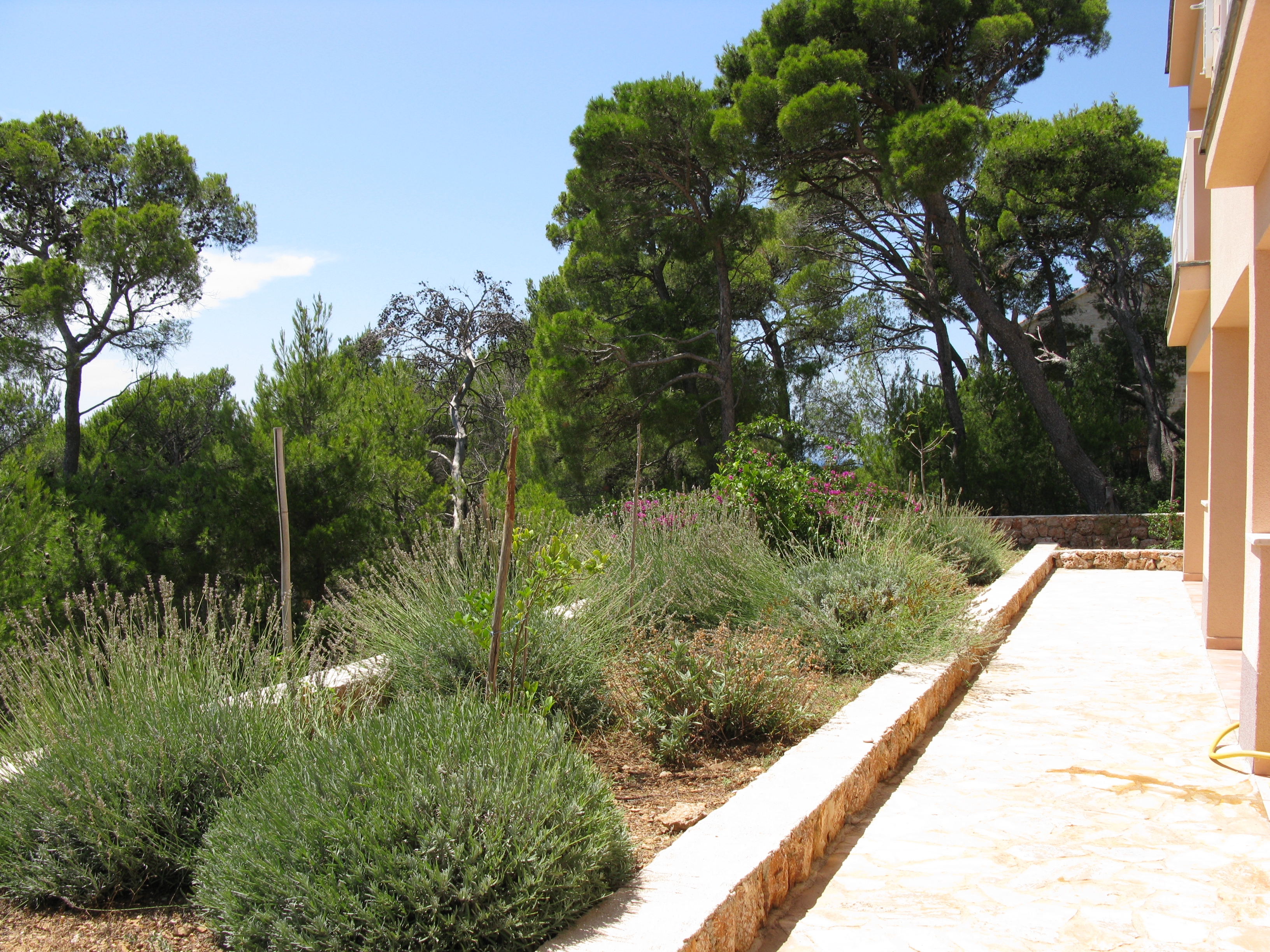 Top Hvar Sveta Nedilja Top Hvar Sveta Nedilja