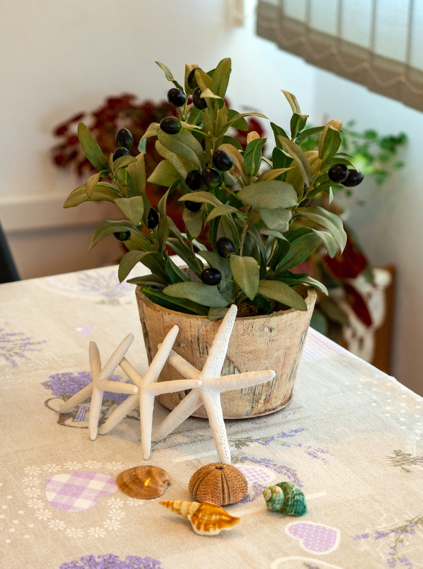 Top Rab Supetarska Draga - Donja Top Rab Supetarska Draga - Donja