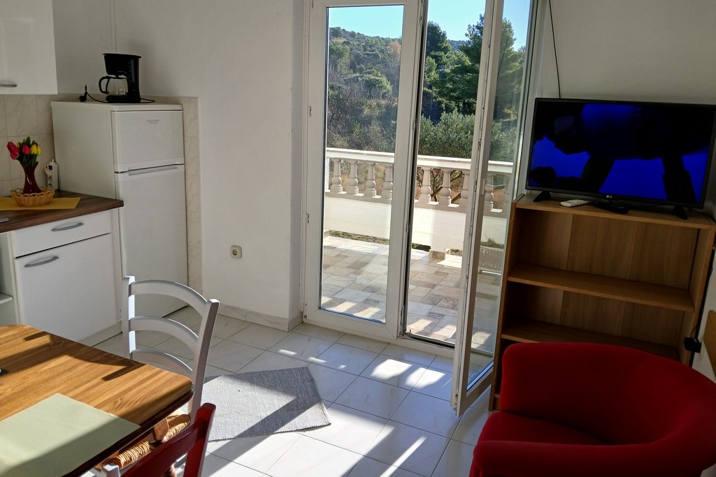 Top Rab Barbat Top Rab Barbat