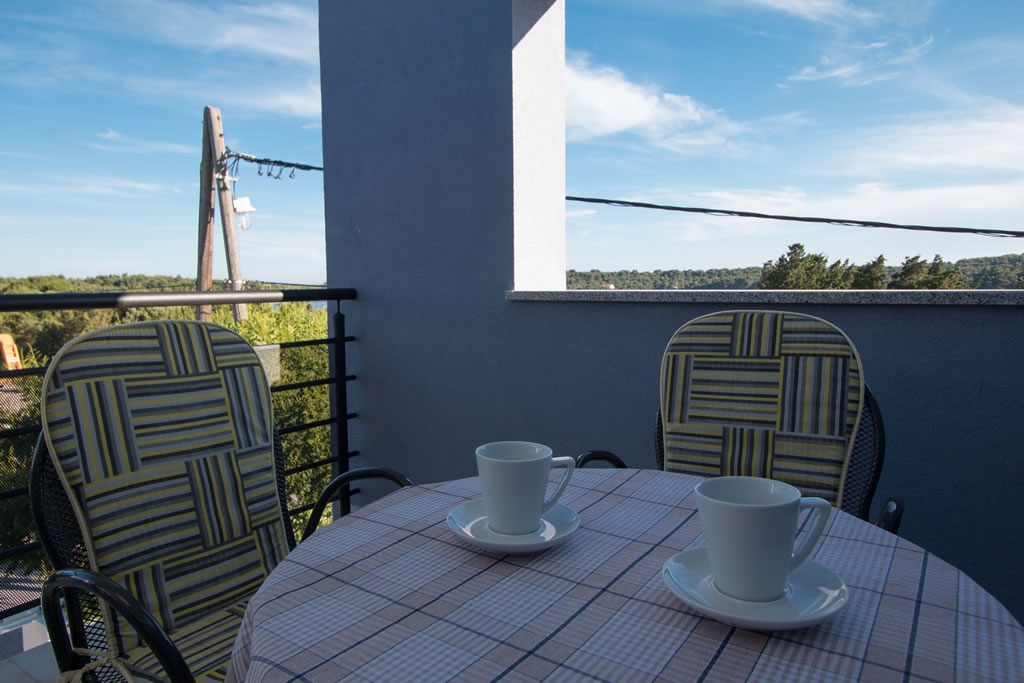 Two bedroom apartment with terrace and sea view Verunić, Dugi otok  A-d