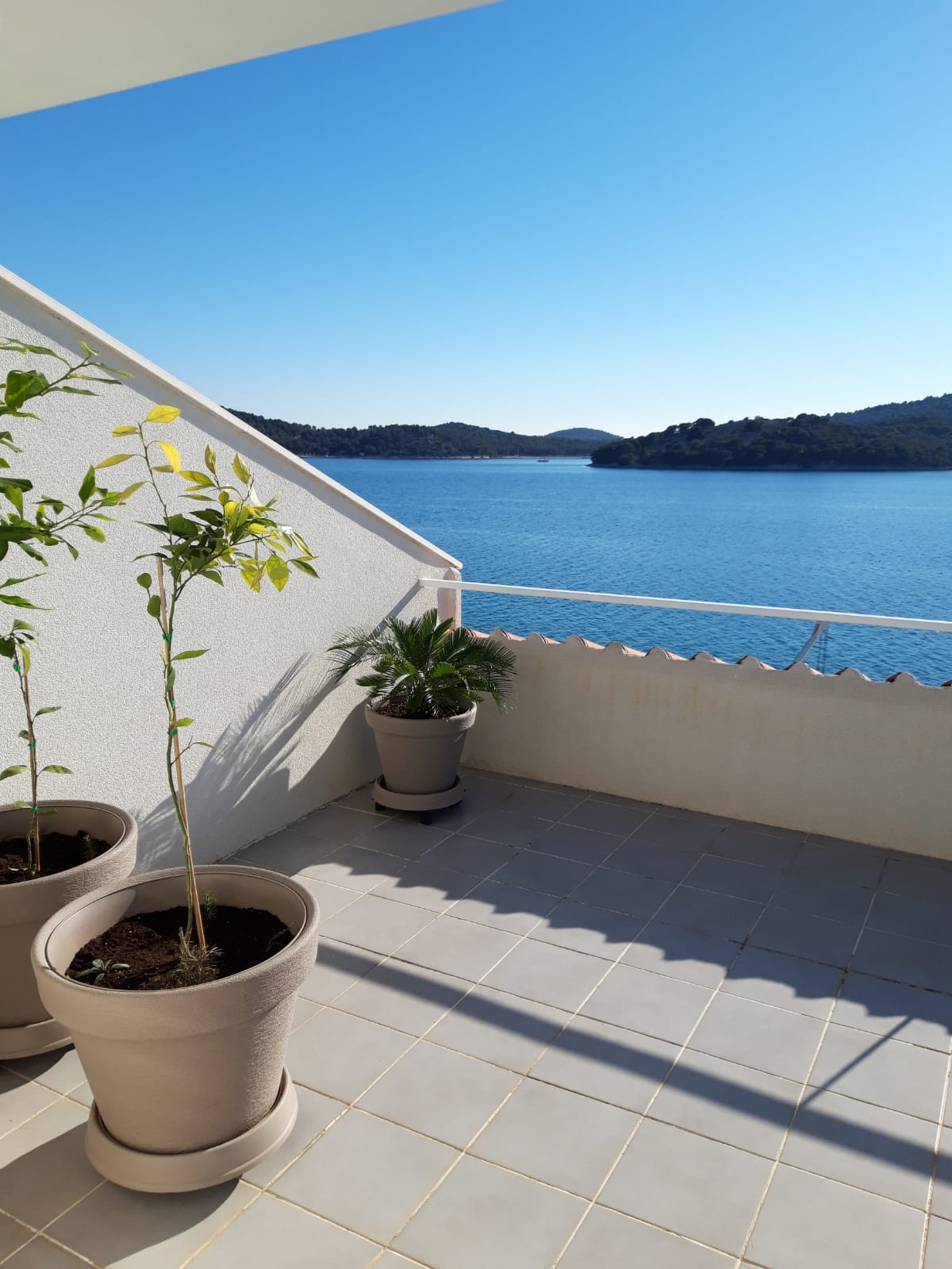 Two bedroom apartment near beach Tisno, Murter  A-c