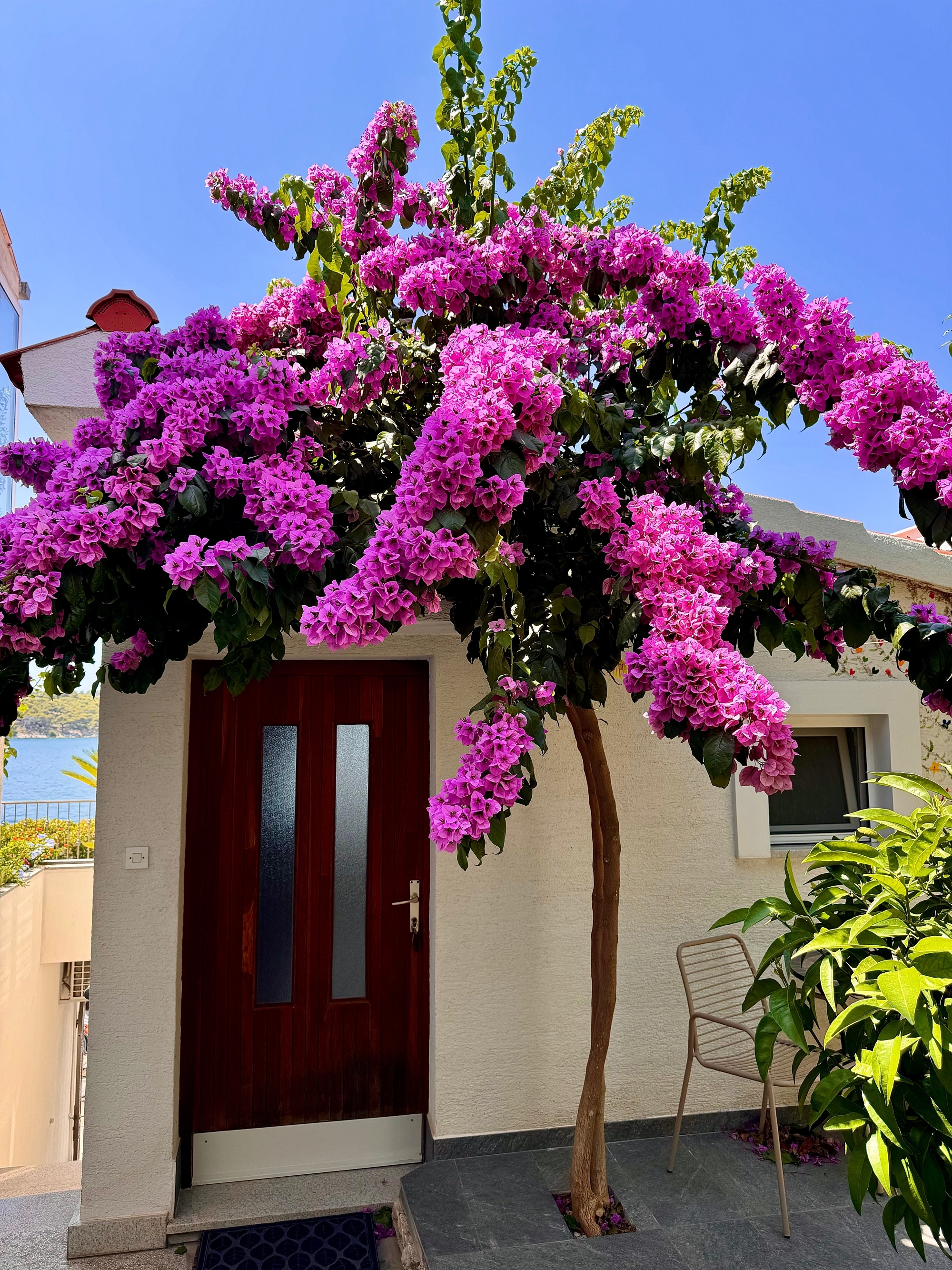 Top Murter Tisno Top Murter Tisno