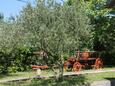 Labin, Labin, Jardín 14581 - Apartamentos with pebble beach.