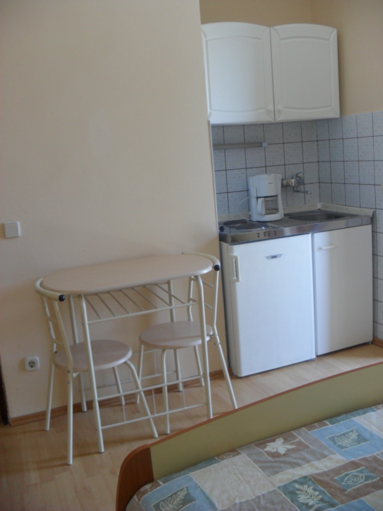 Studio flat with balcony and sea view Ljubač, Zadar (AS-14593-a)