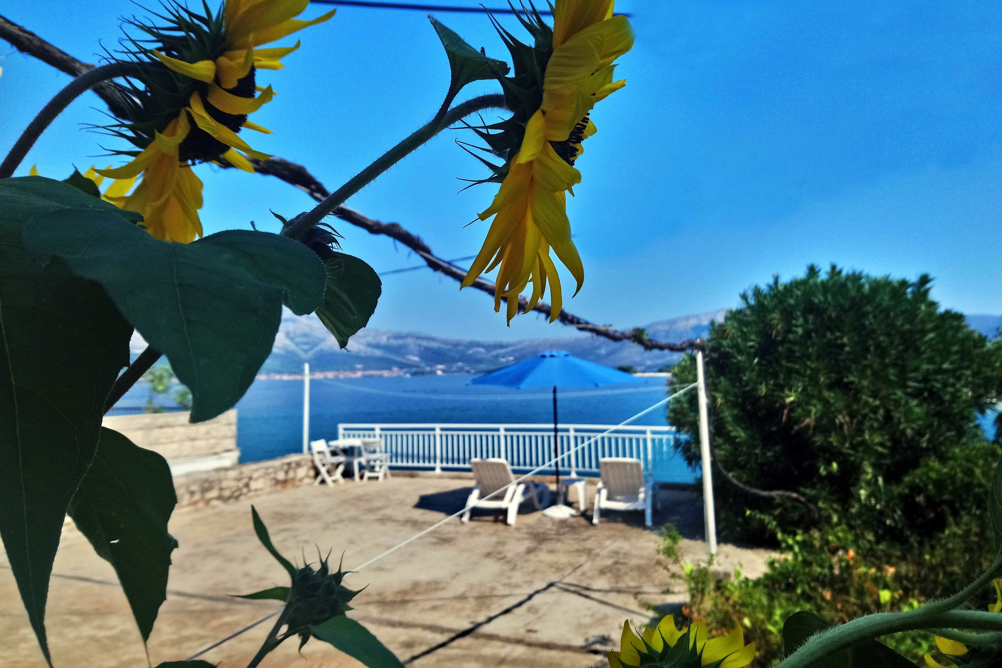 Top Korčula Lumbarda Top Korčula Lumbarda