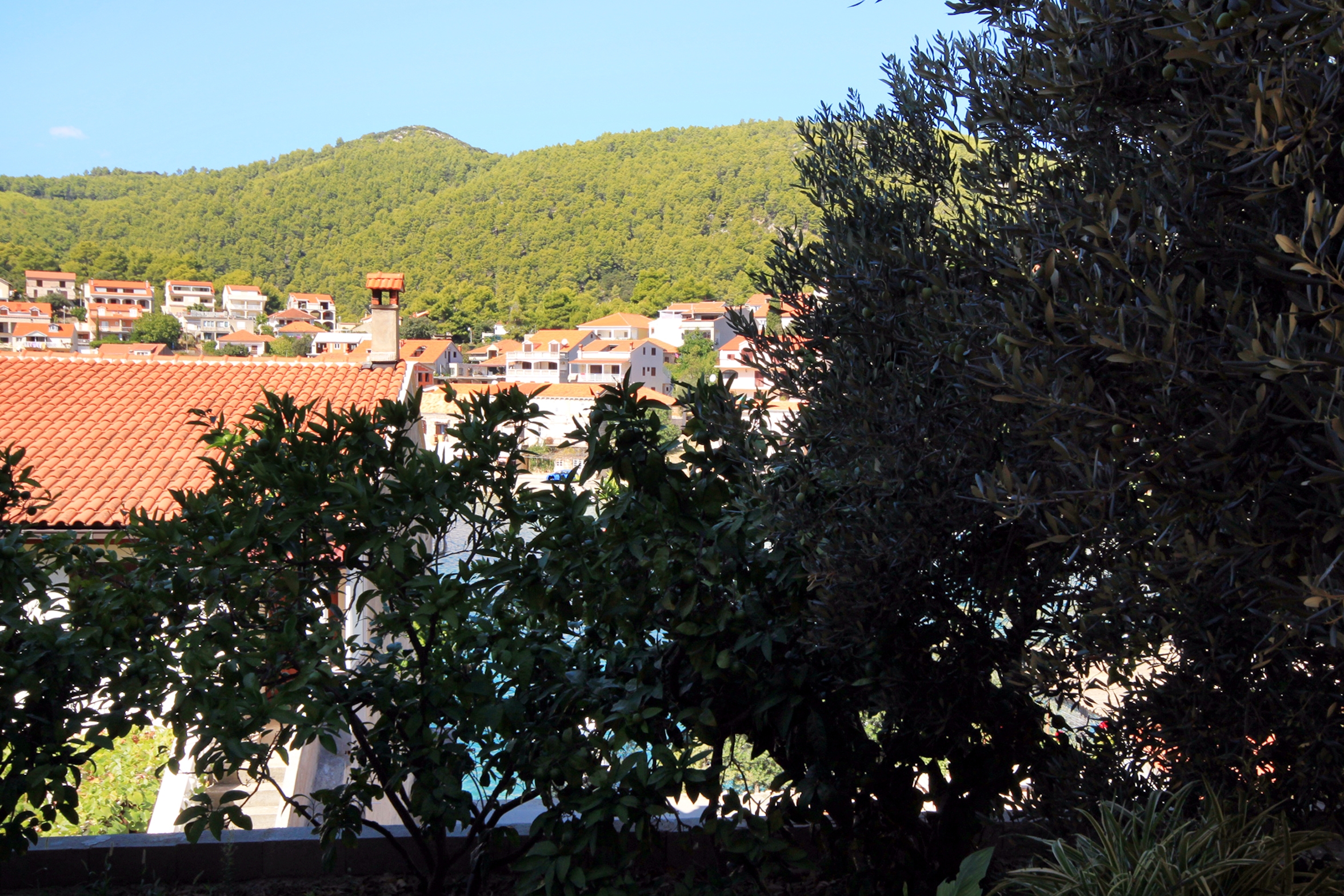 Three bedroom apartment near beach Brna, Korčula  A-f