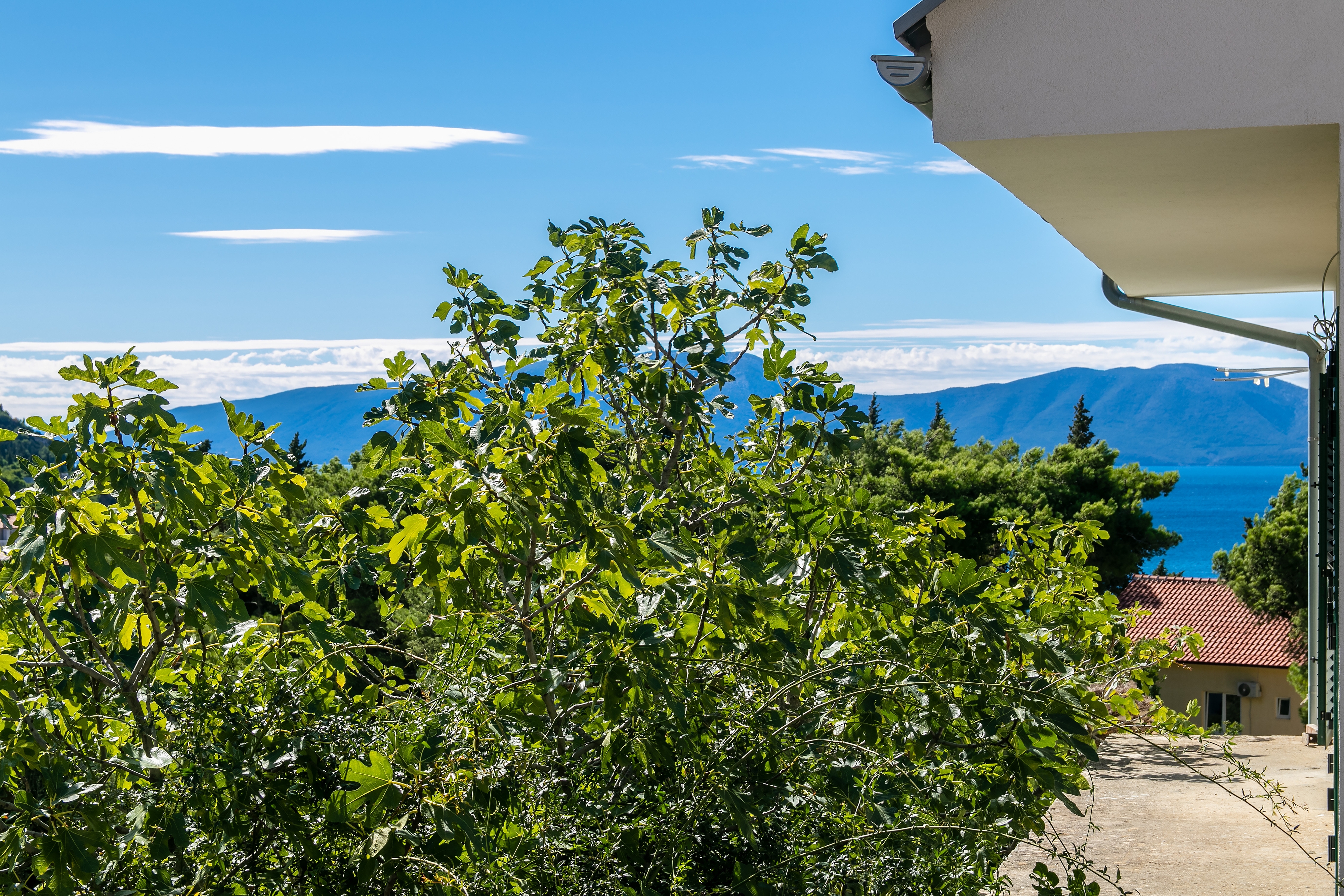 Two bedroom apartment with balcony and sea view Gradac, Makarska  A-b