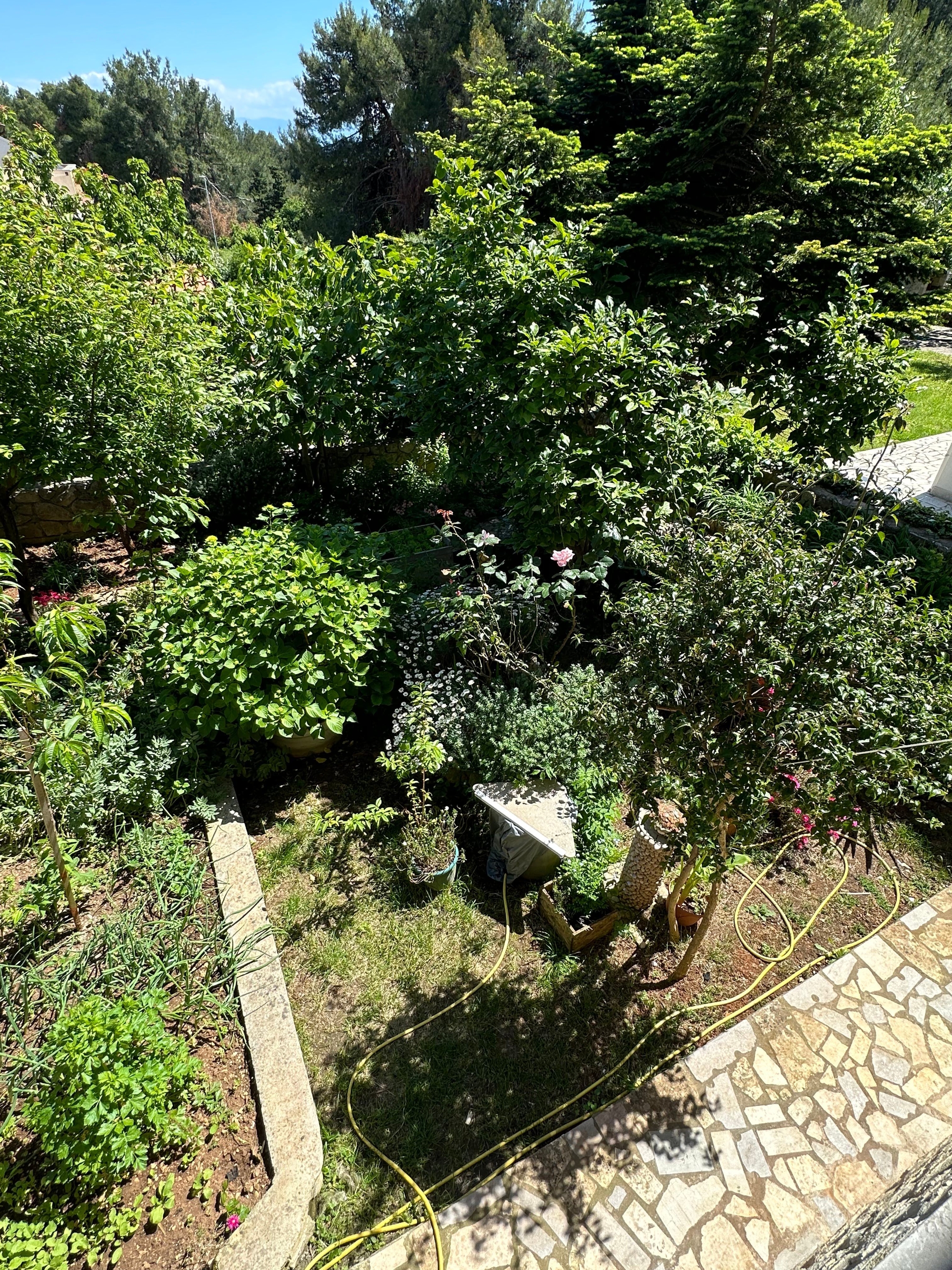 Top Lošinj Mali Lošinj Top Lošinj Mali Lošinj