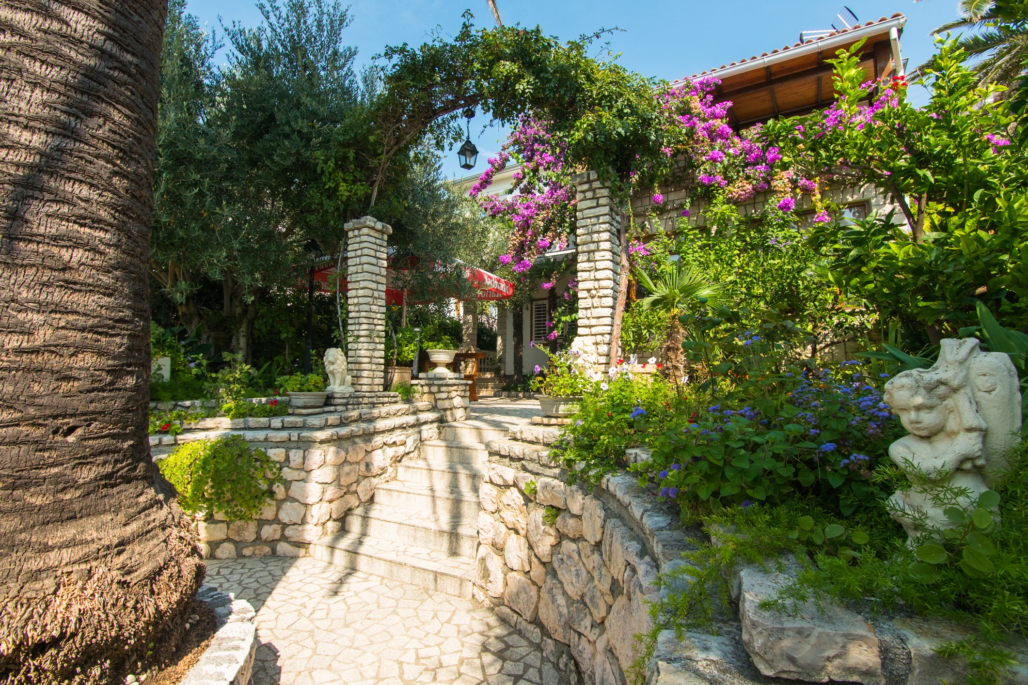 Top Rab Barbat Top Rab Barbat