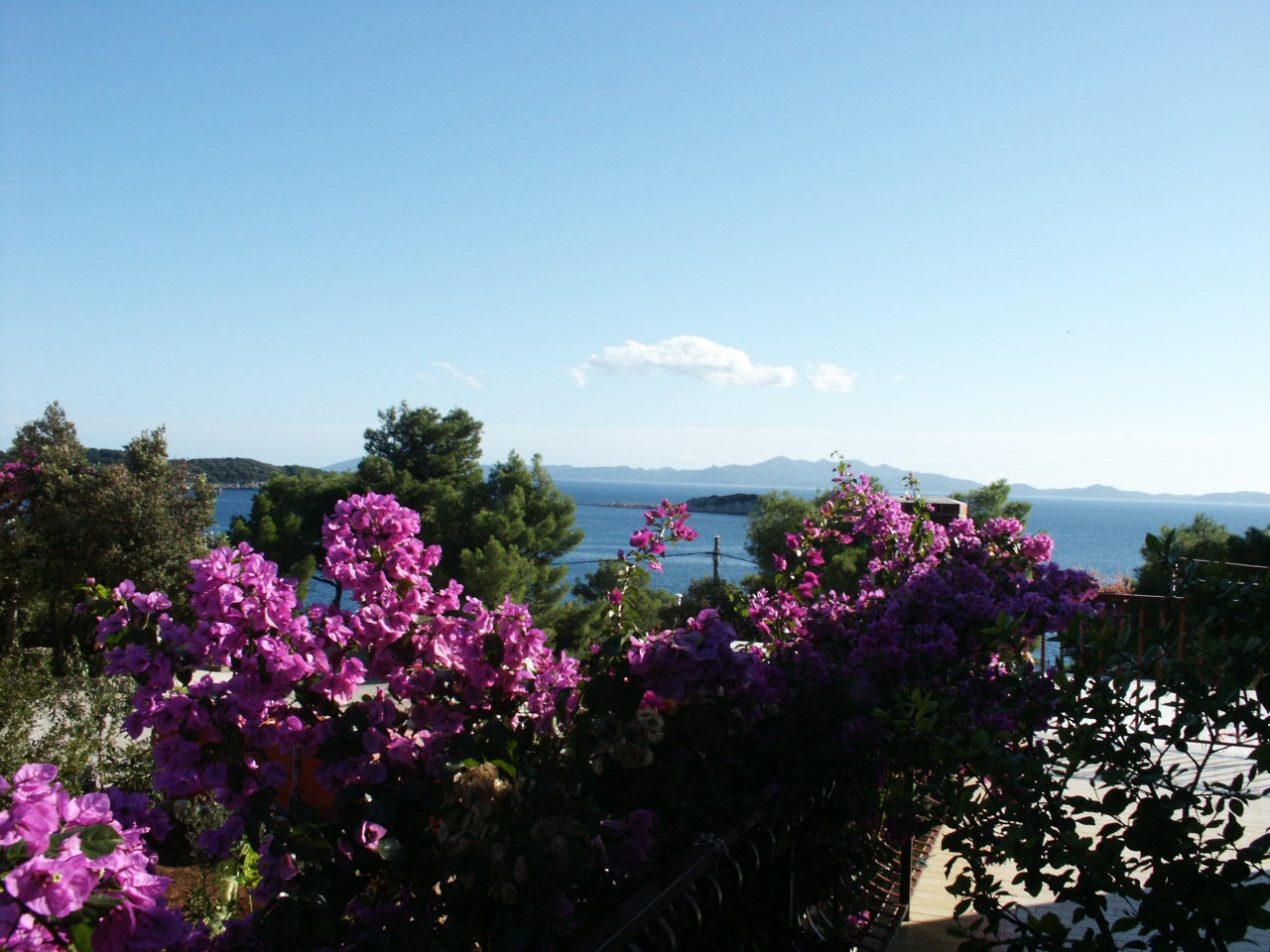 Two bedroom apartment with terrace and sea view Prižba, Korčula  A-a