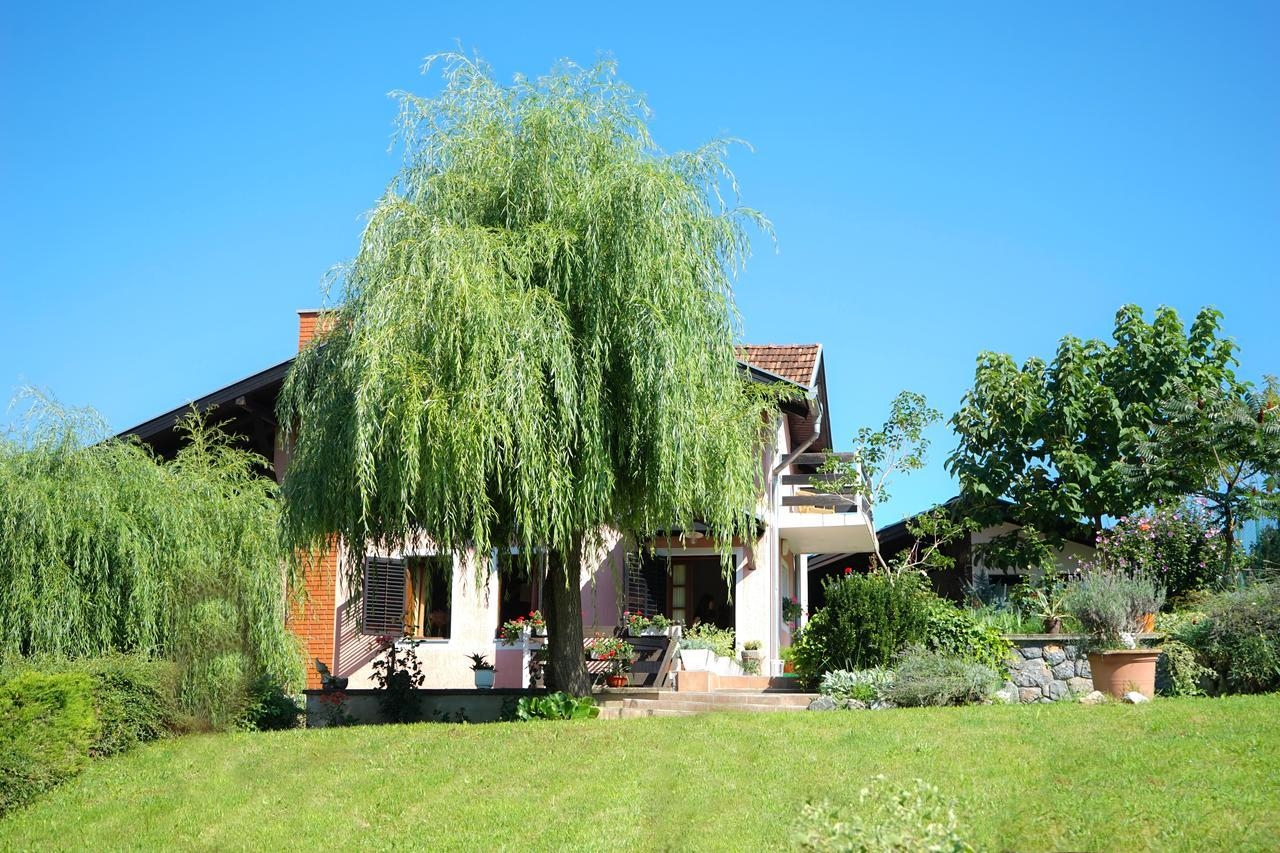 Haus im Ort Daruvar (Bjelovarska), Kapazität4