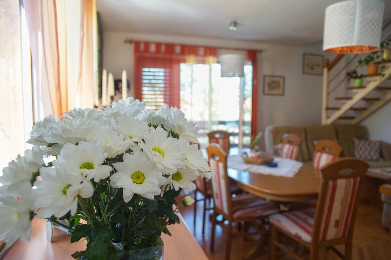 Two bedroom house with terrace Daruvar, Bjelovarska  K