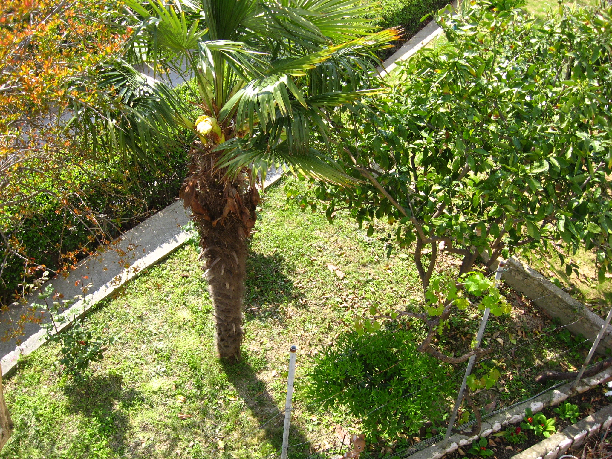 Two bedroom apartment with terrace Palit, Rab  A-a