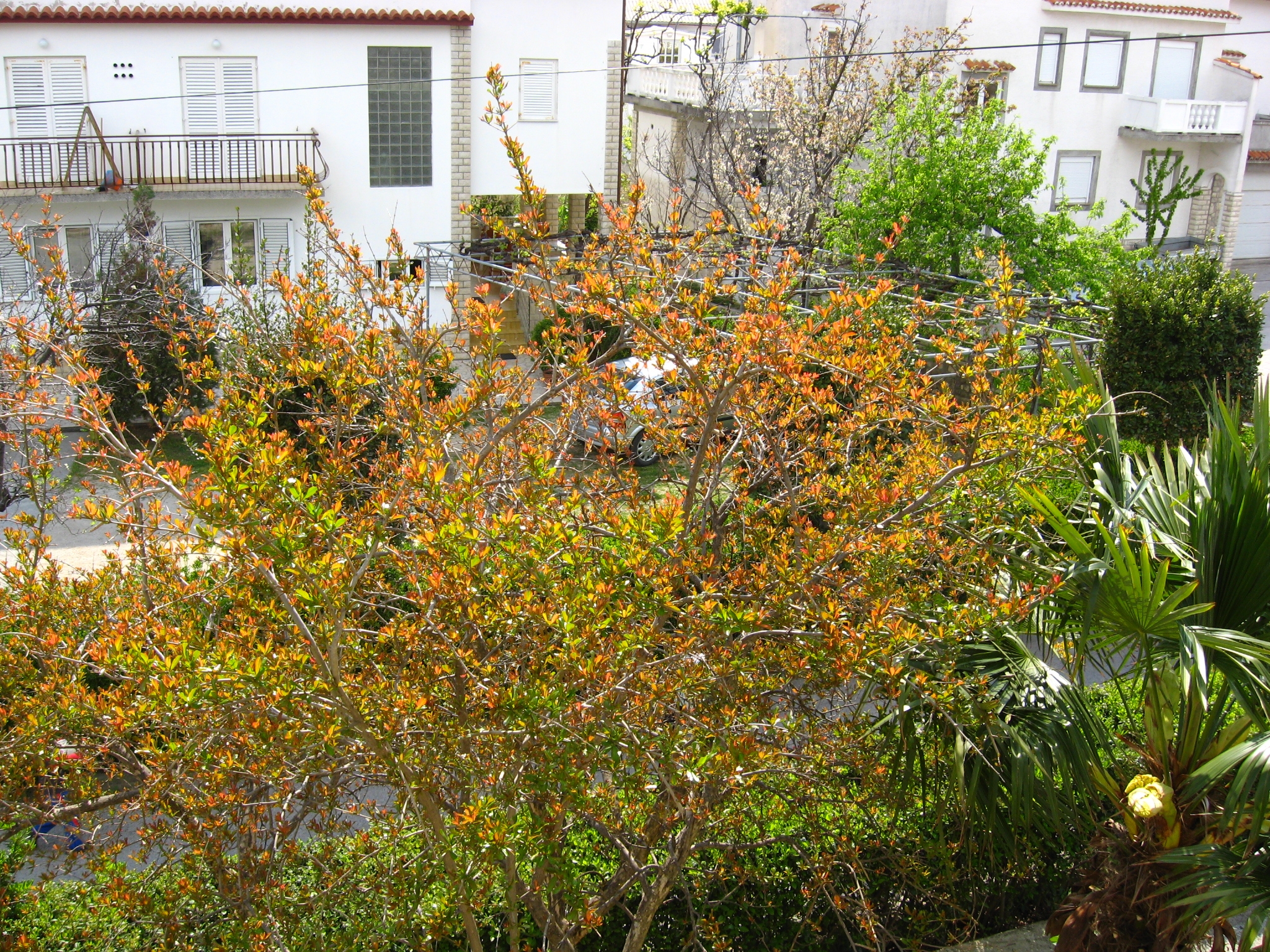 Top Rab Palit Top Rab Palit