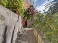 Mali Lošinj, Lošinj, Podwórko 15050 - Apartamenty w Chorwacji.